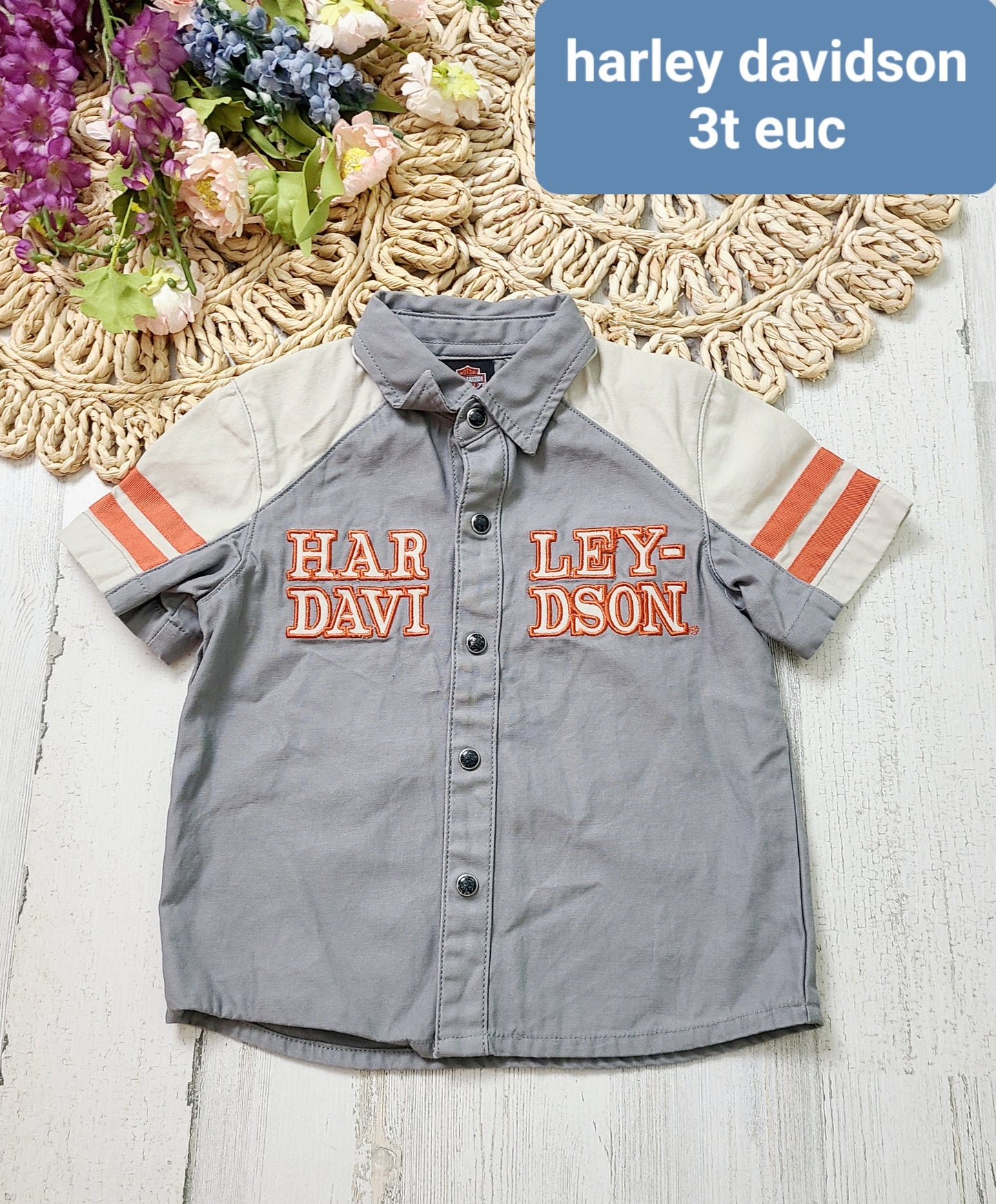 harley davidson button