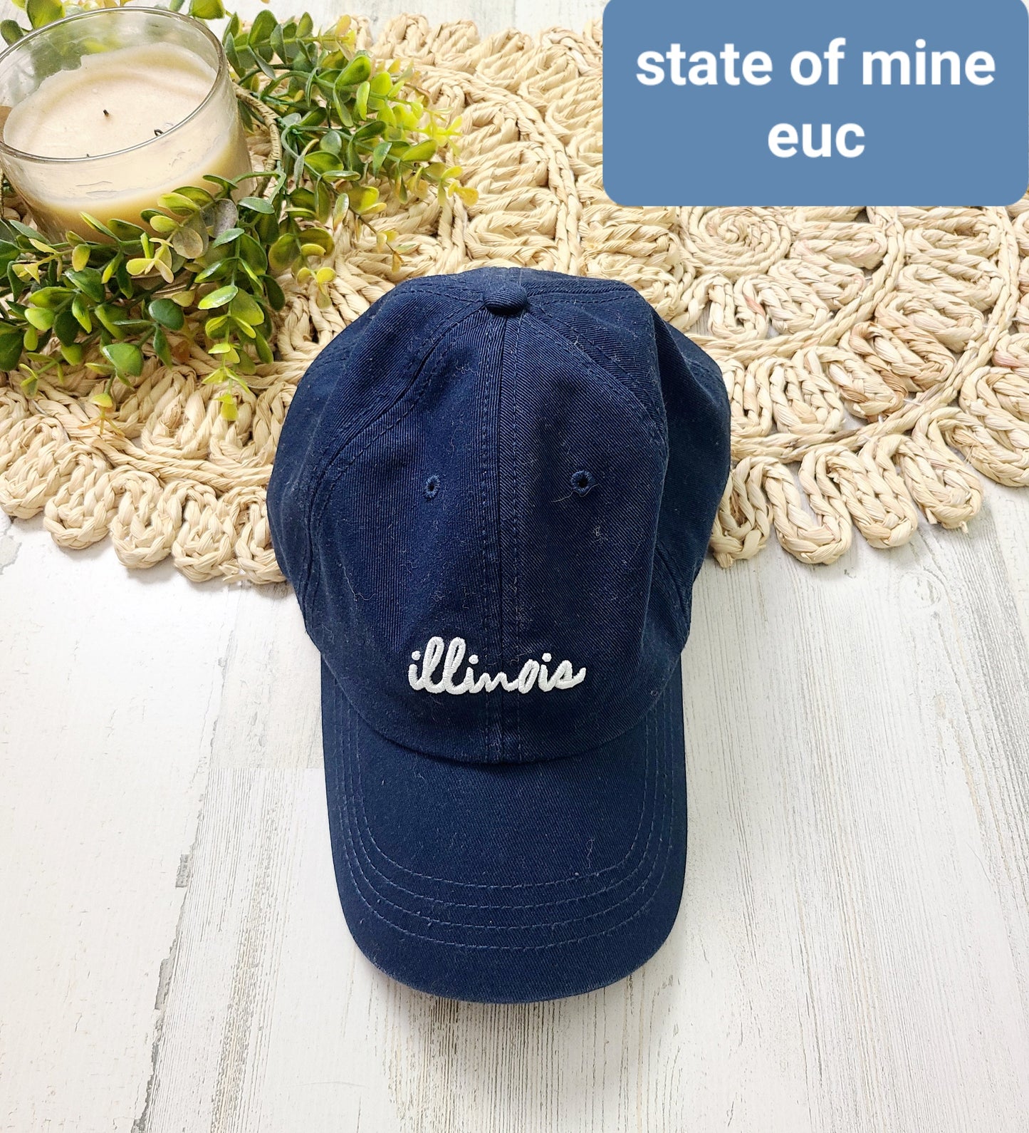 illinois navy hat