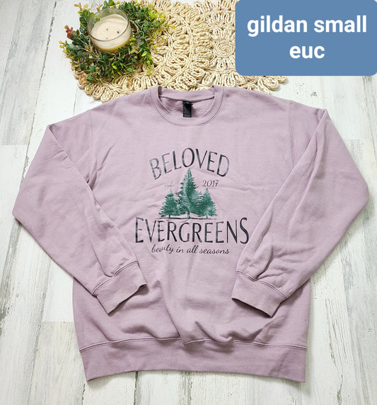 beloved evergreens lavendar