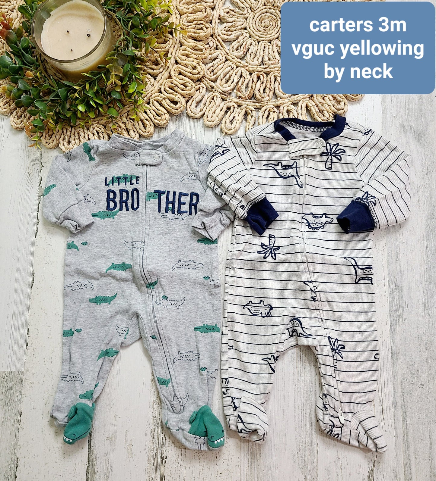 carters little bro and dino