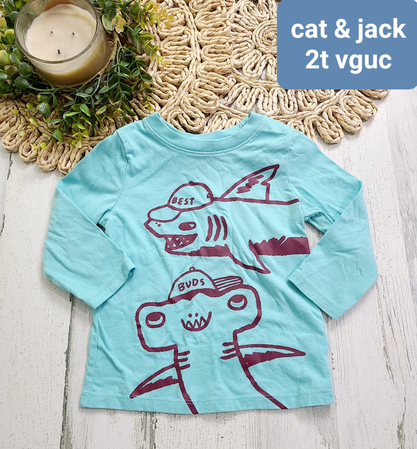 cat & jack shark