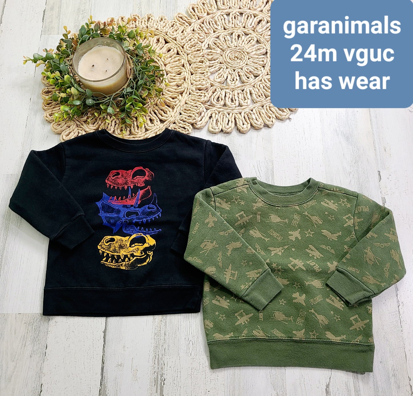 garanimals crewnecks dino and pilot