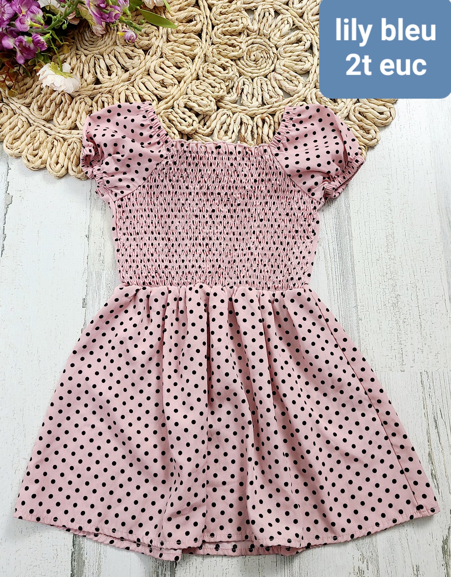 lily bleu dot dress