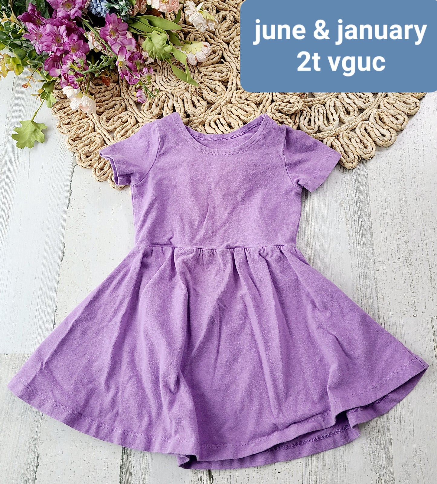 june & january purple dress