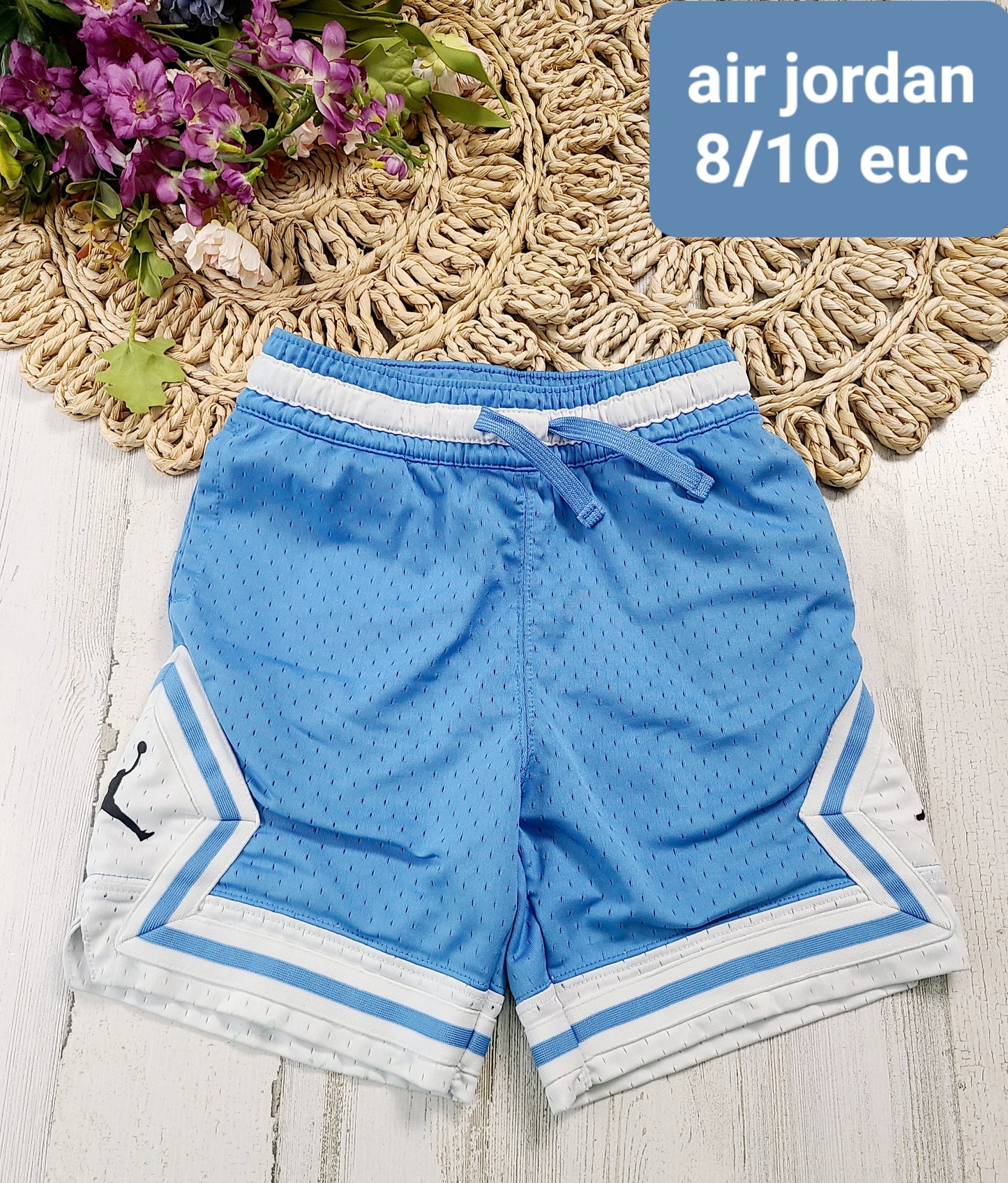 blue air jordan shorts