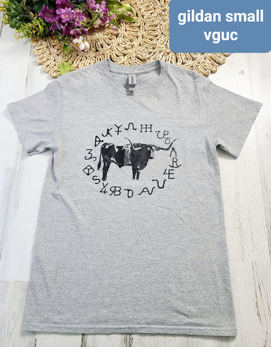 gilan tee gray