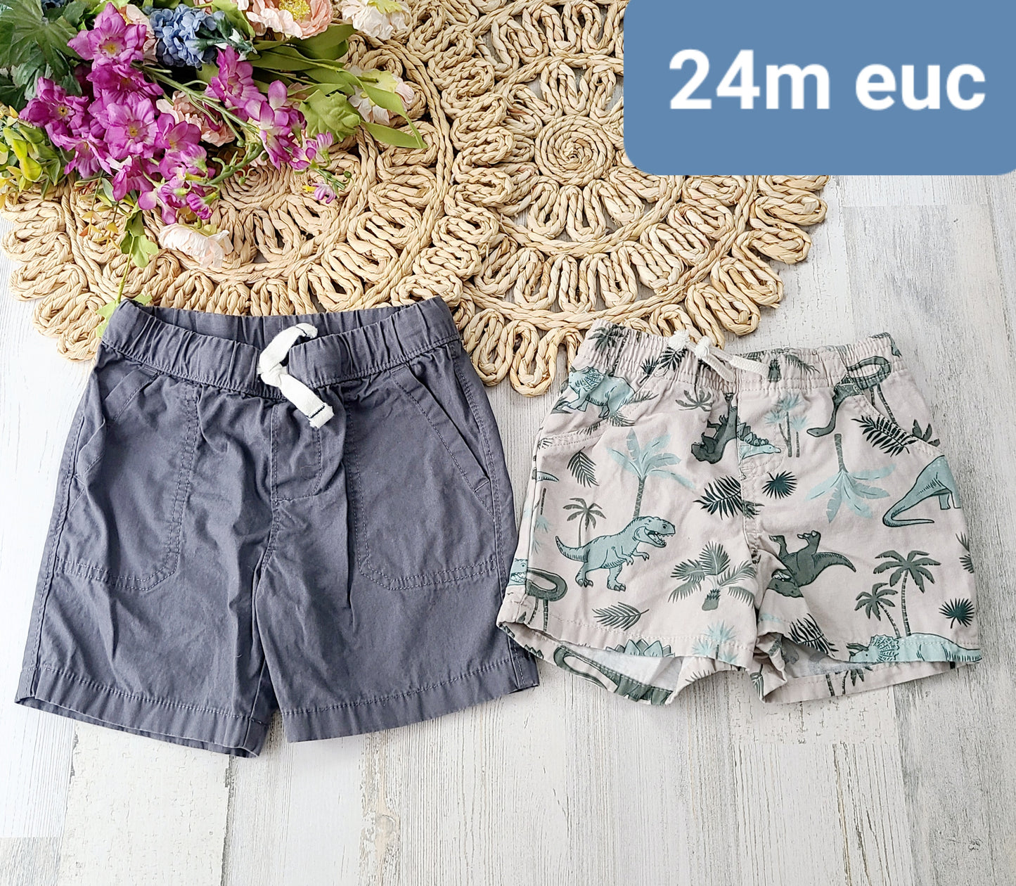 gray and dino shorts 24m