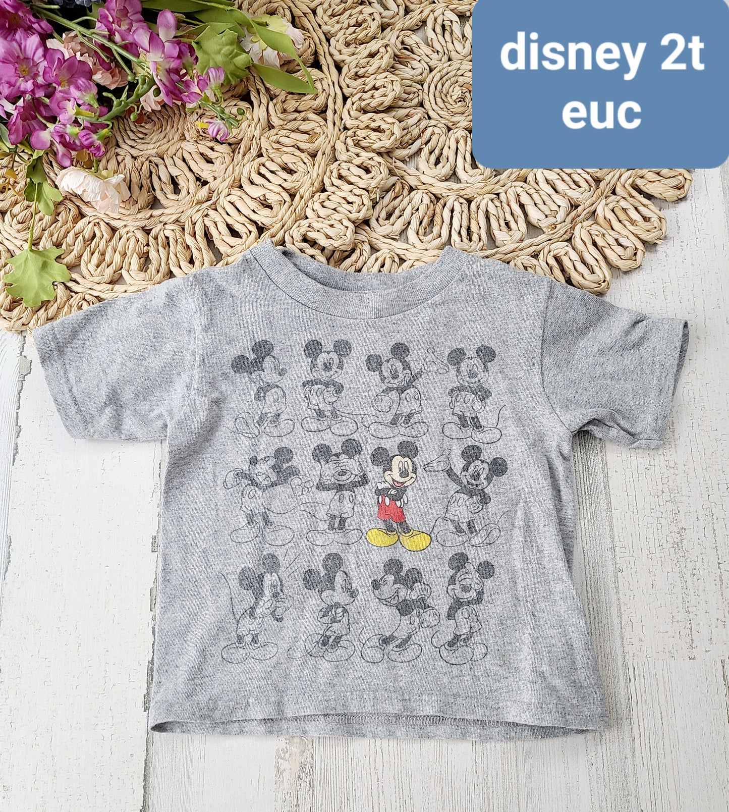 mickey gray tee 2t
