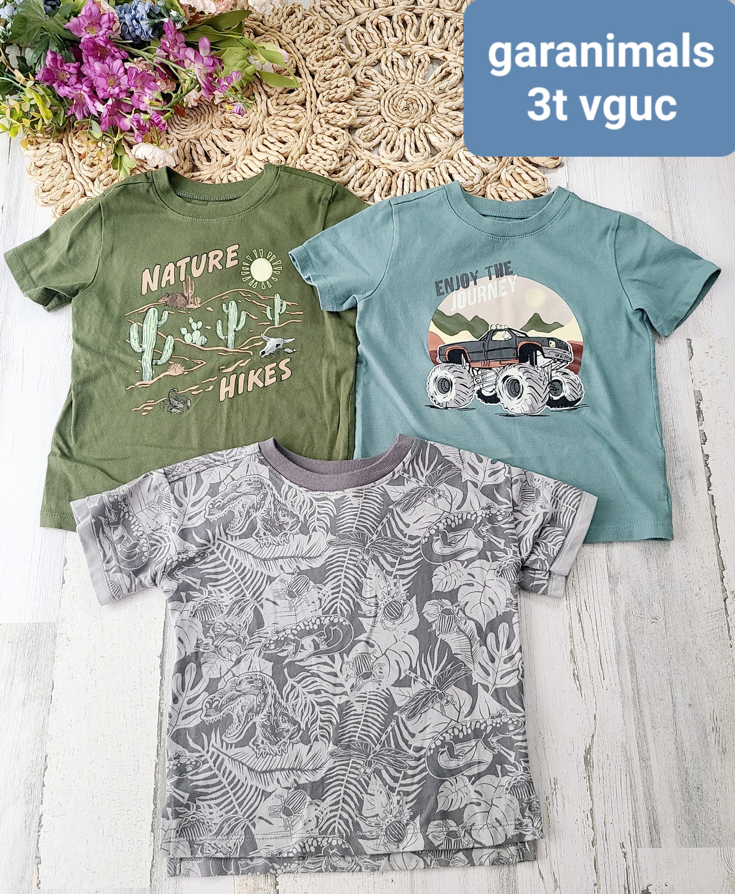 garanimals 3t bundle tees