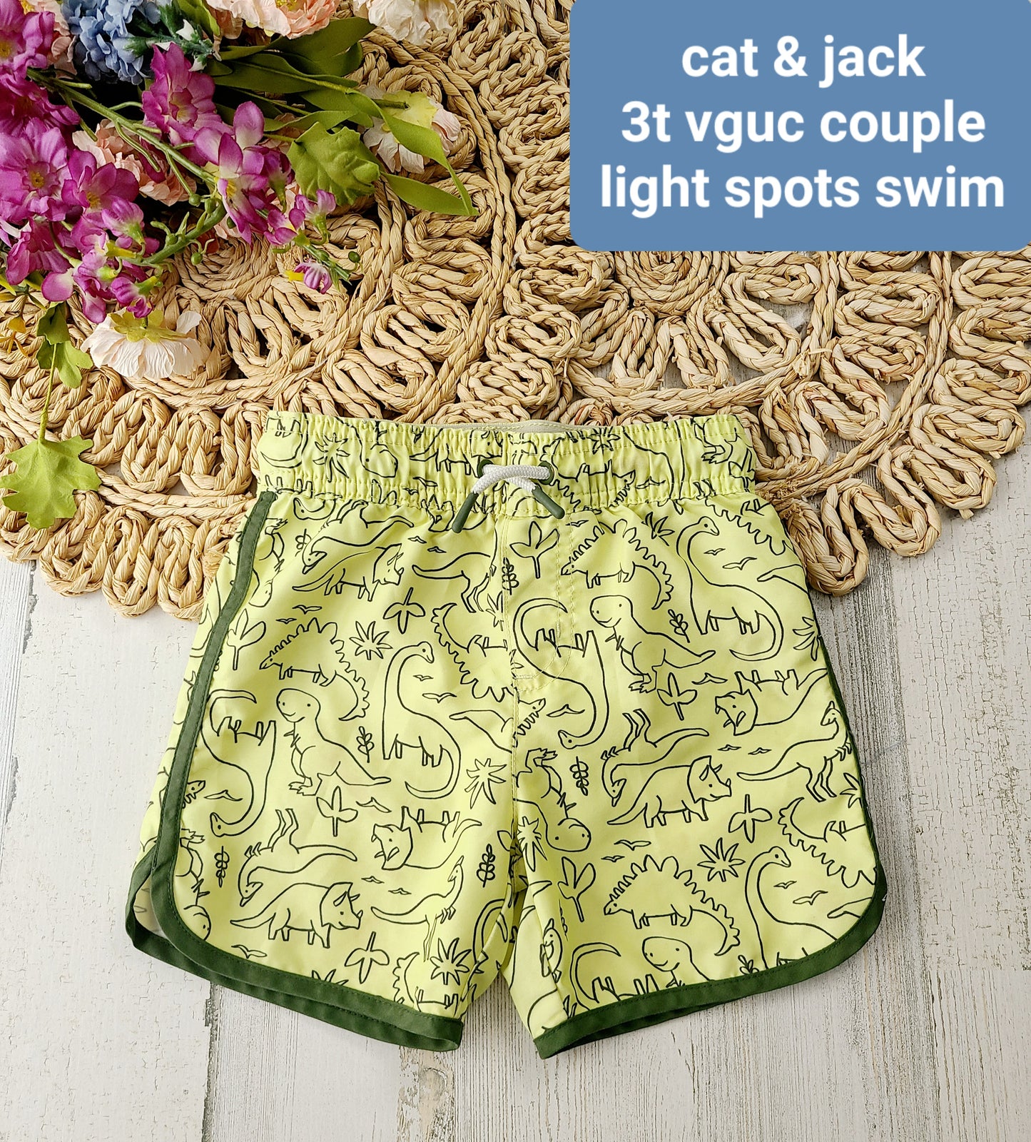 cat and jack swim trunks dinosaurs