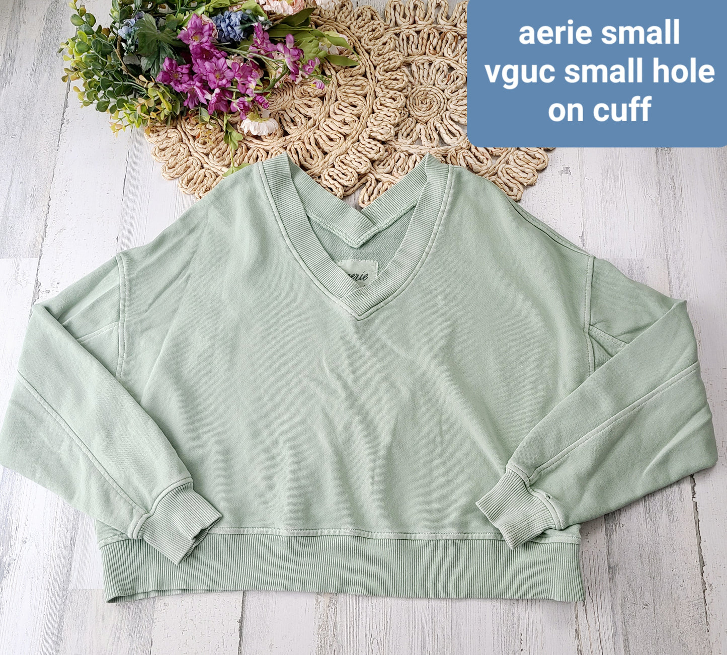 aerie light green vneck crew