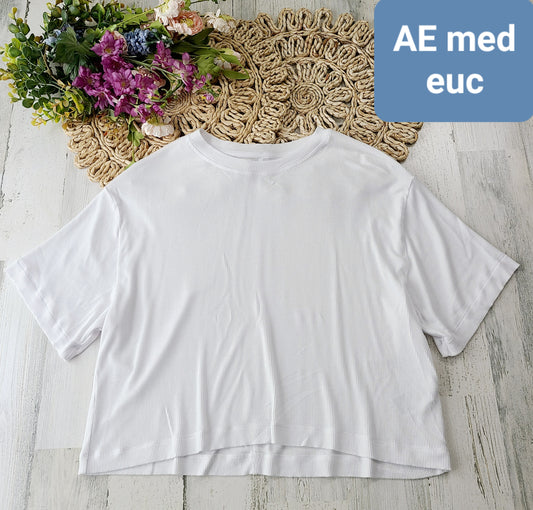 ae medium ribbed white tee