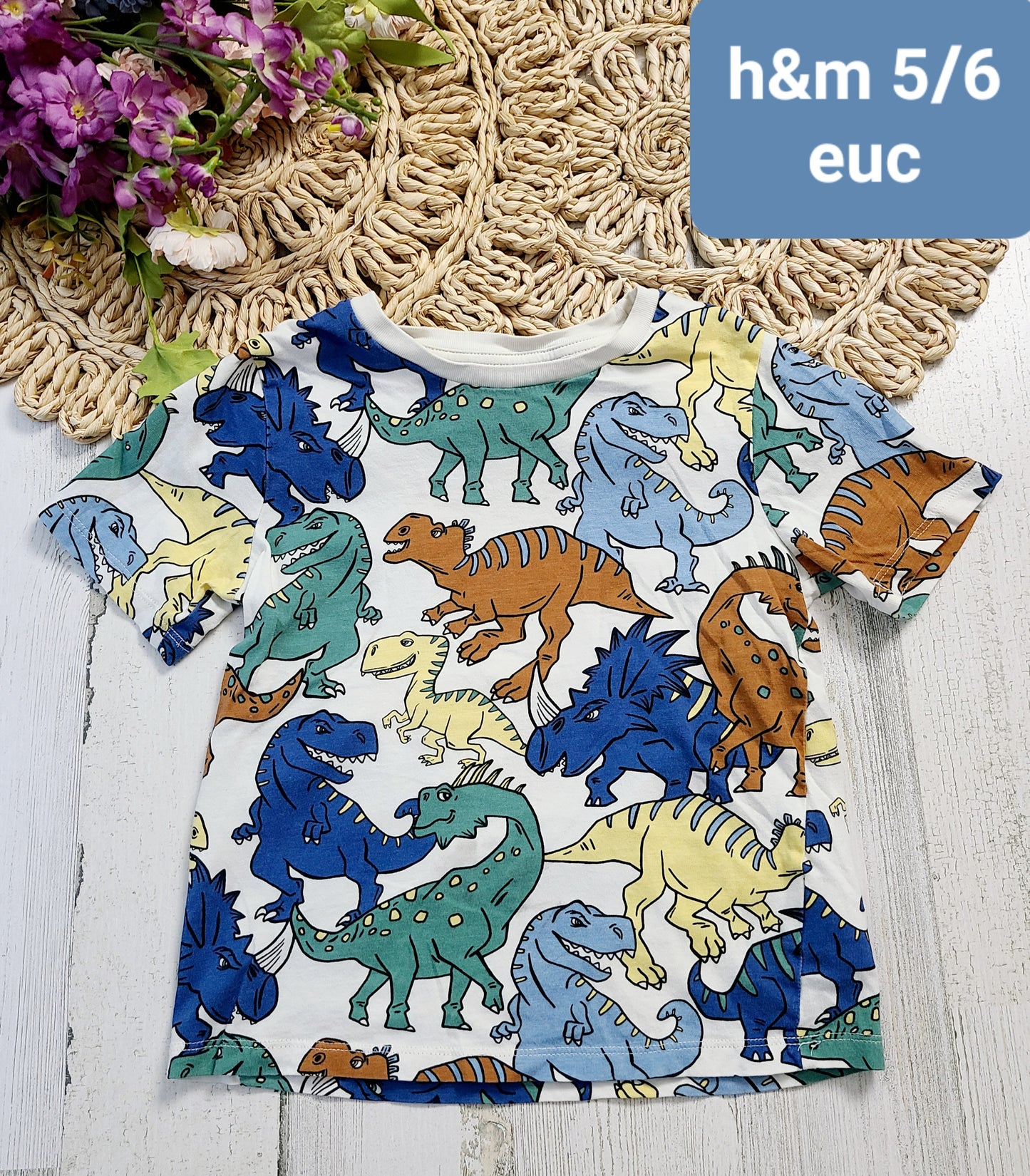 h&m 5/6 dinosaurs