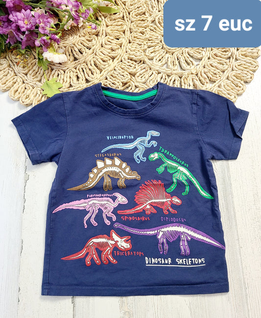 navy colorful dinosaurs