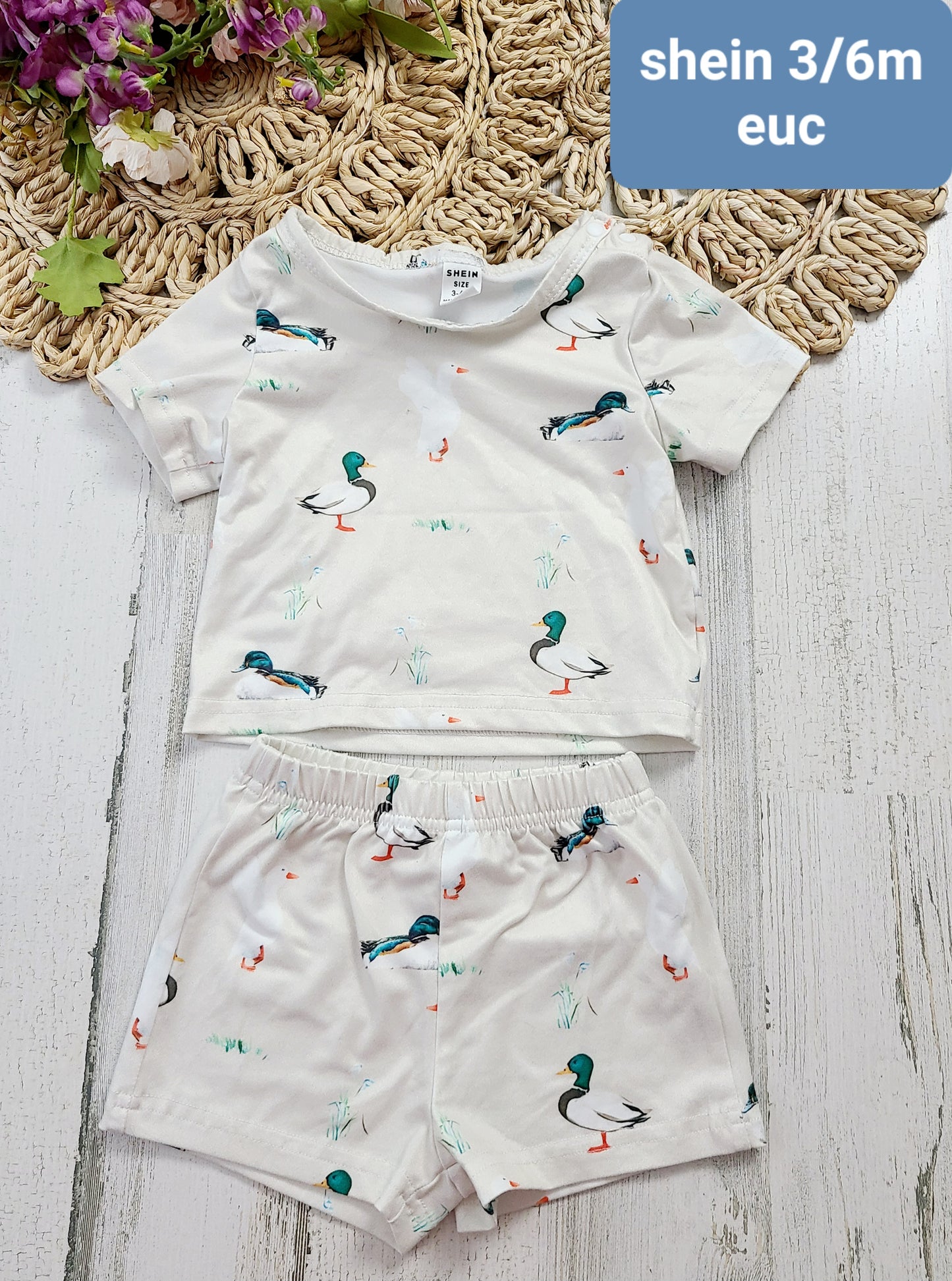 shein ducks
