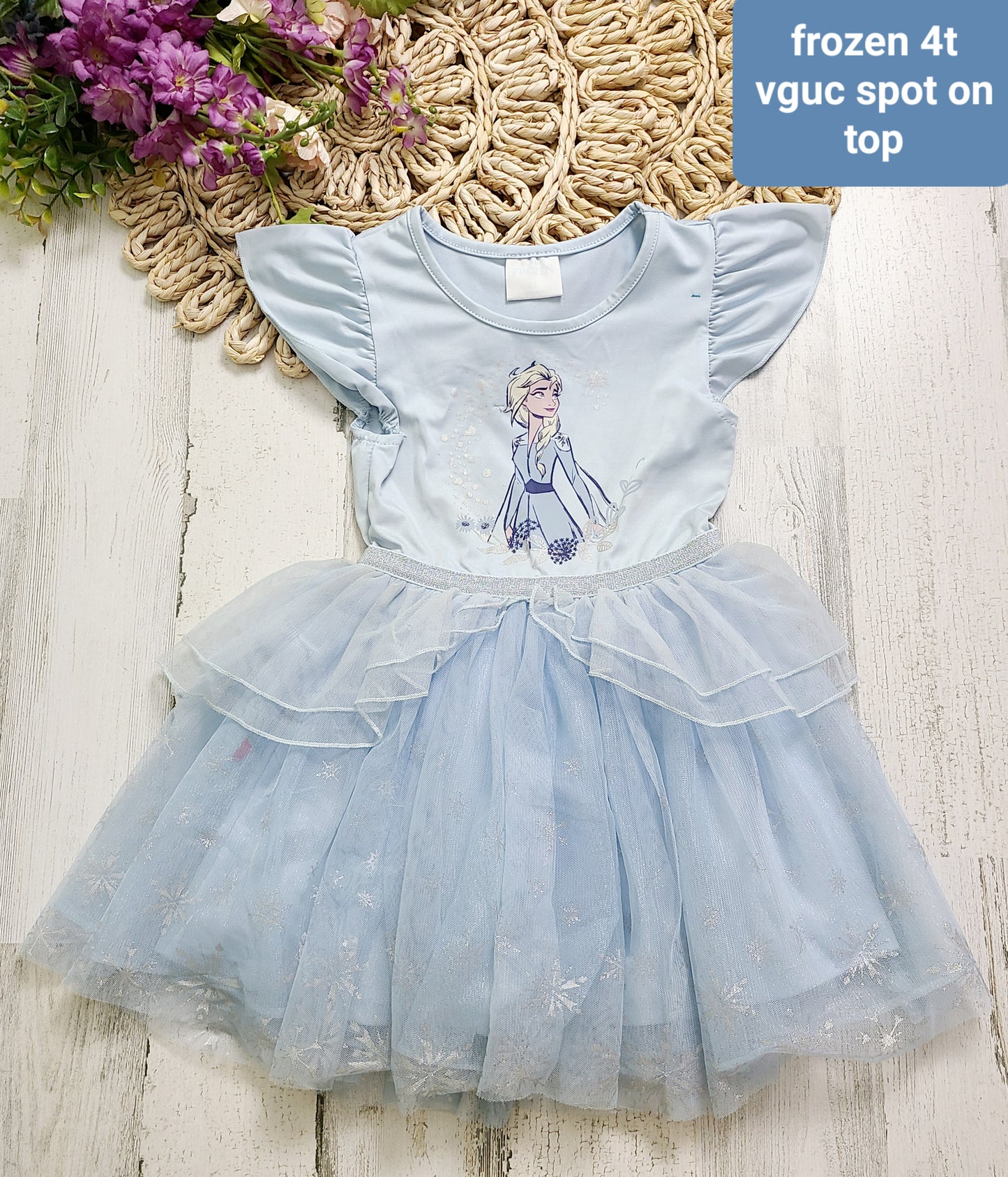 frozen 4t dress