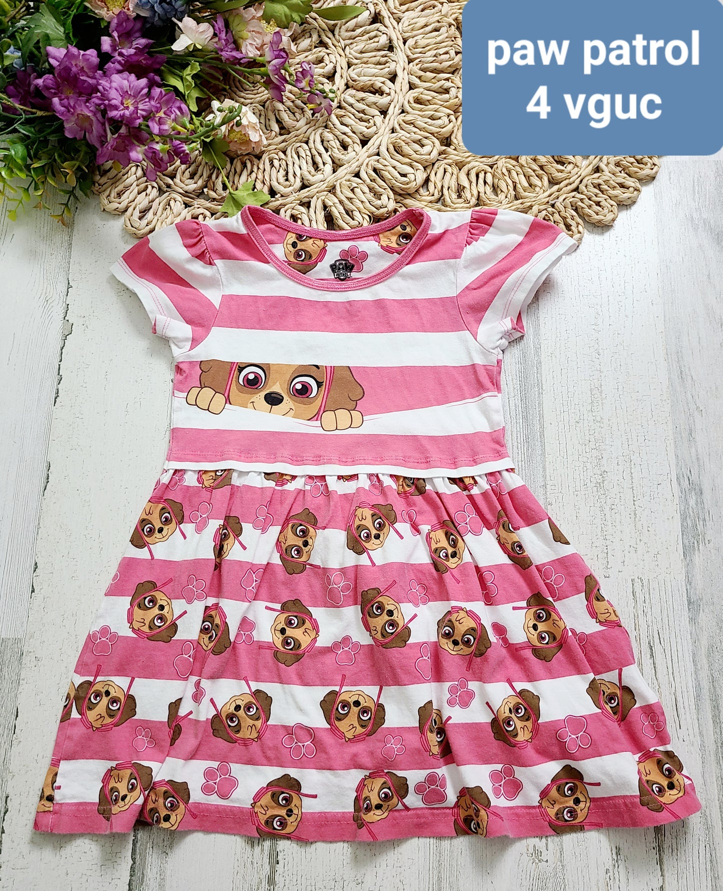 paw patrol dress
