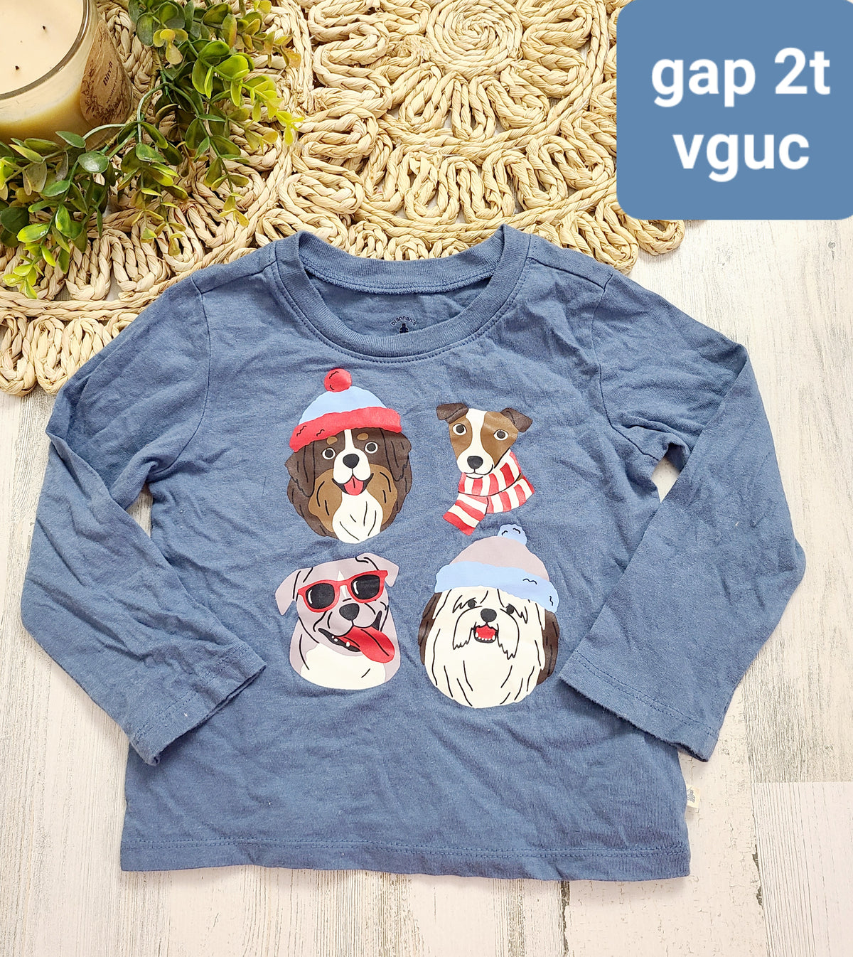 dogs gap winter