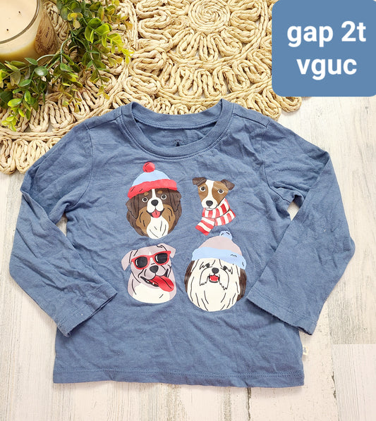 dogs gap winter
