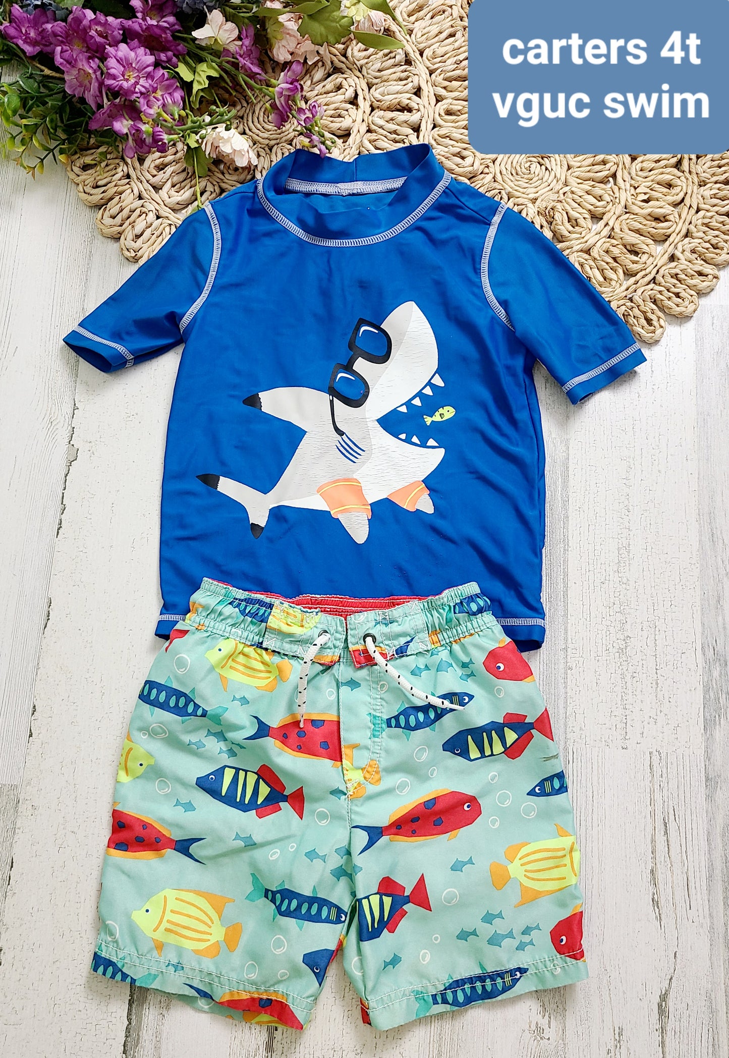 shark and fish swim carters