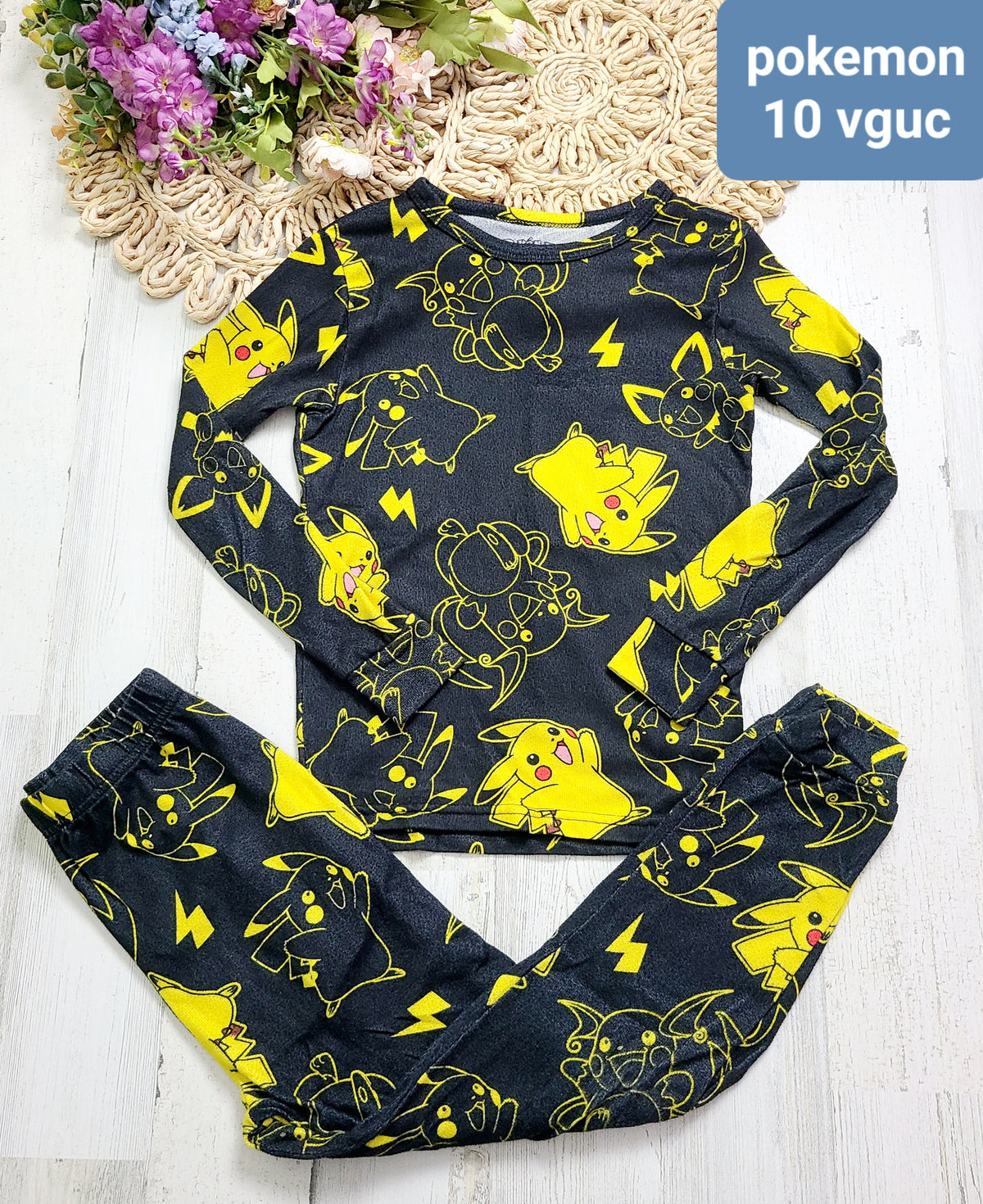 pokemon pj 10y