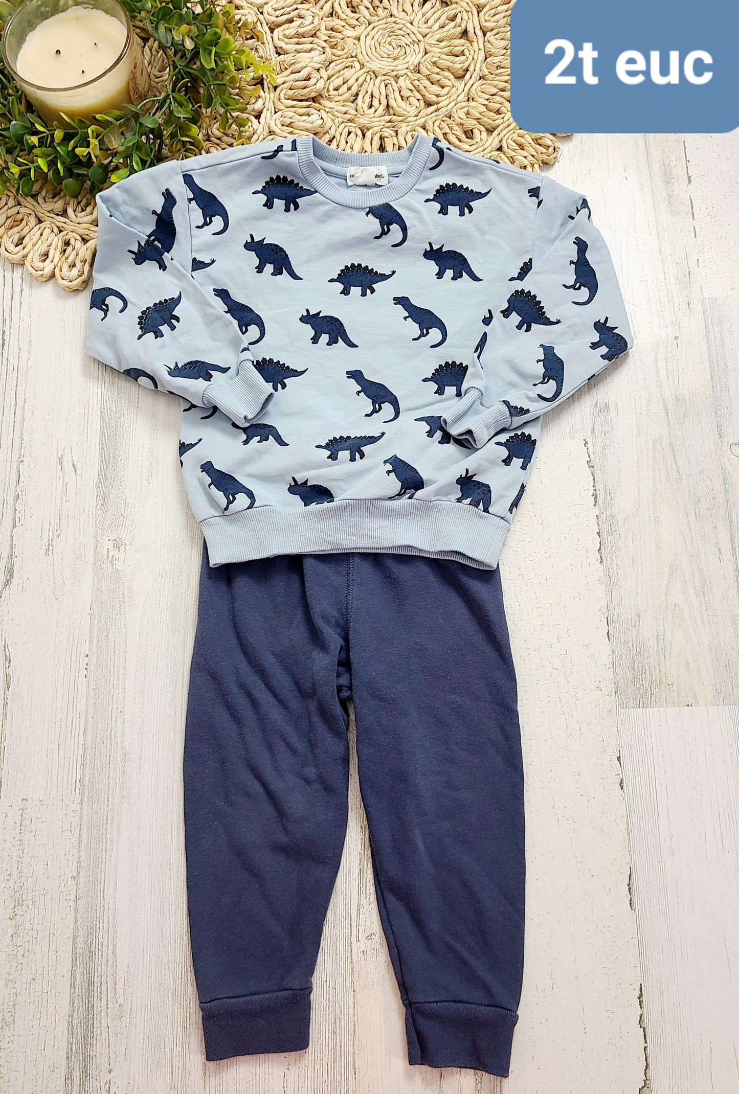 blue dino crewneck and joggers