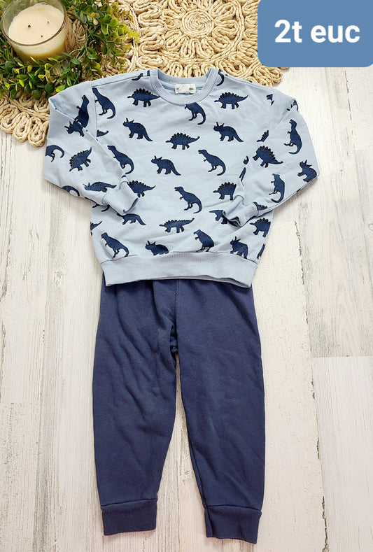 blue dino crewneck and joggers