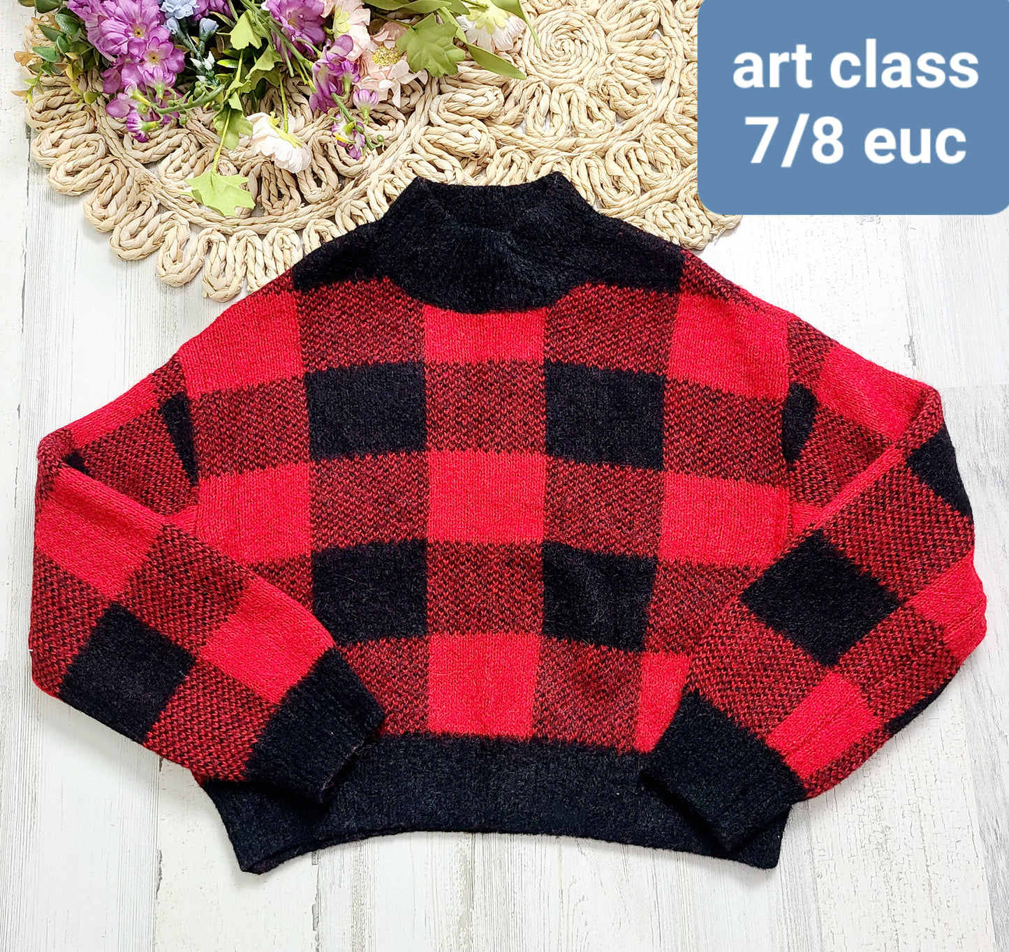 plaid red black sweater art class