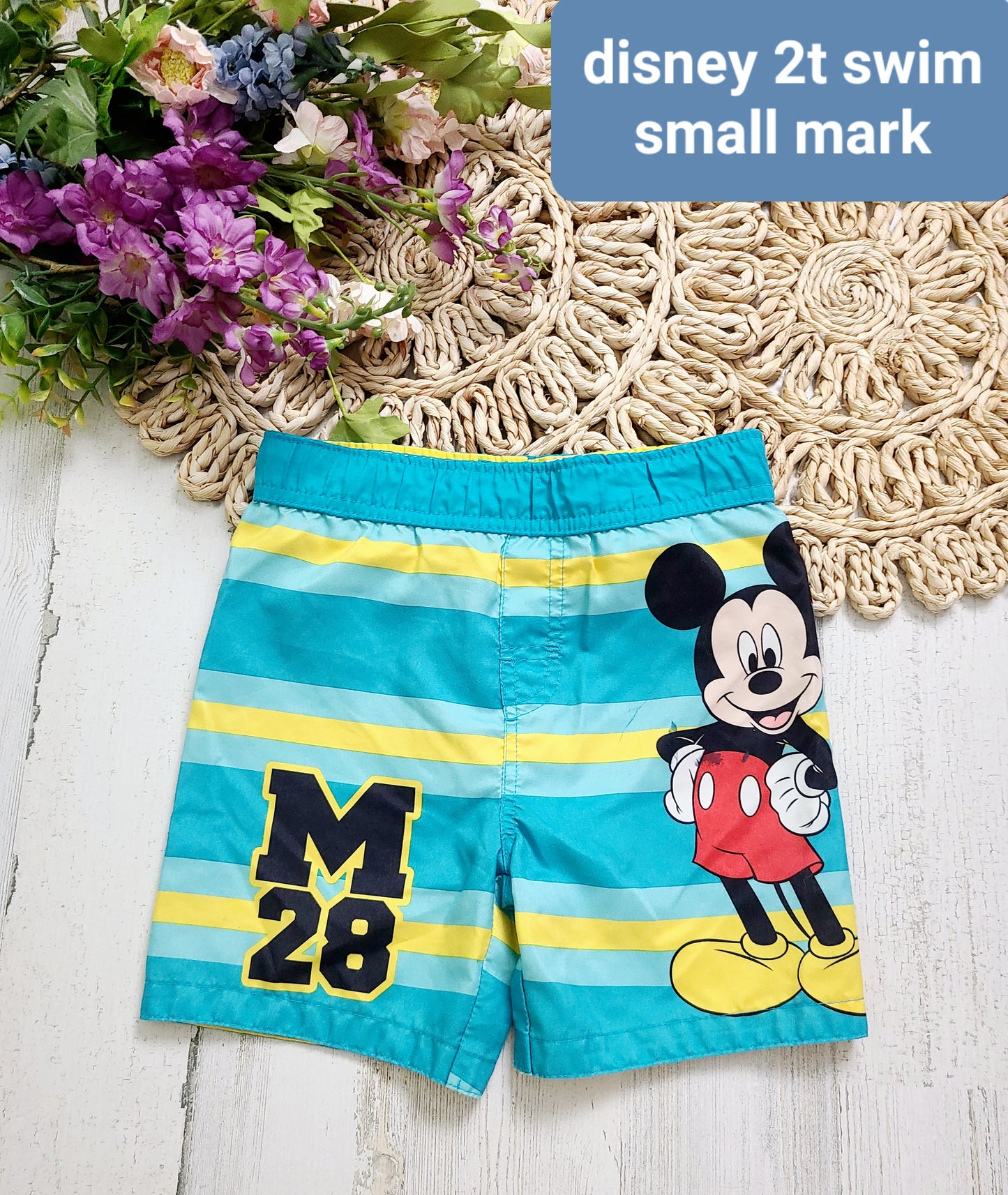 mickey swim shorts 2t