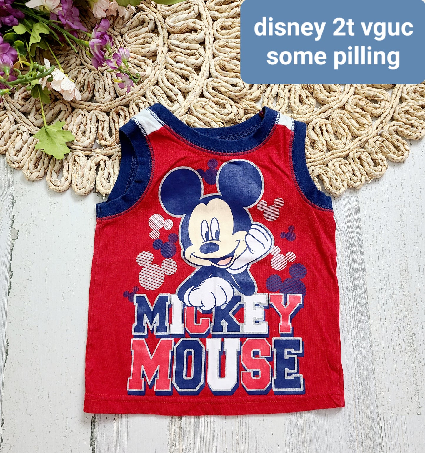 mickey mouse july 4