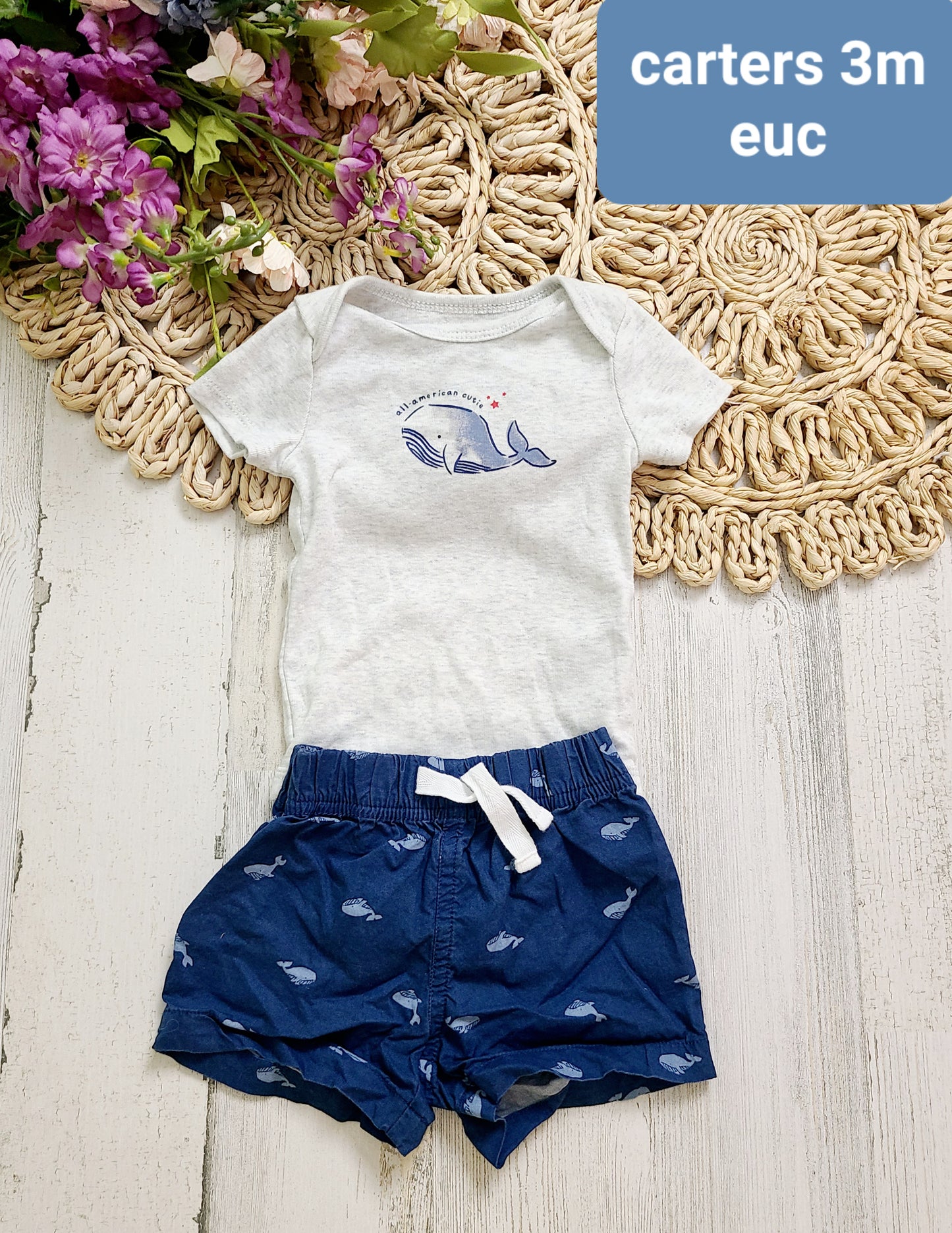 carters all american cutie whale
