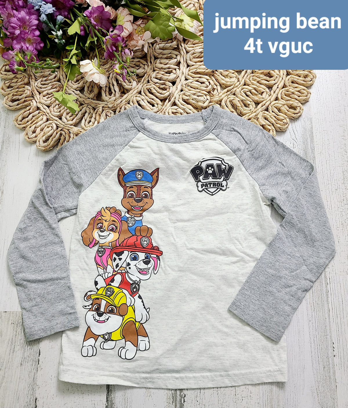 pawpatrol jumping bean