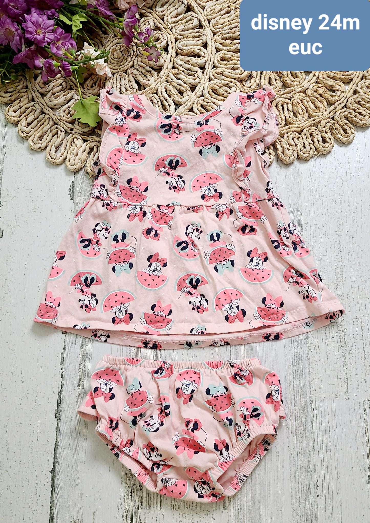 disney minnie watermelon