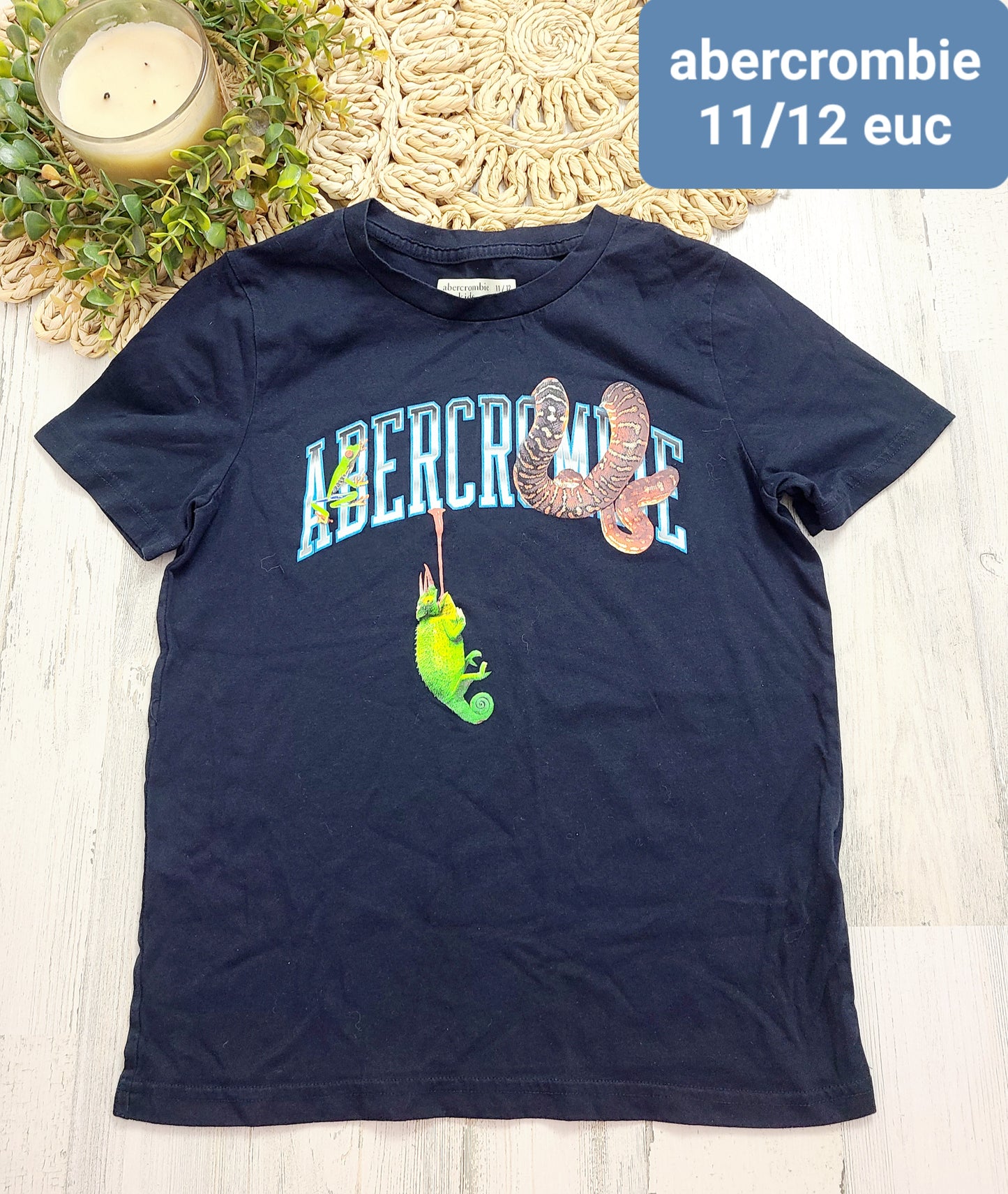 abercrombie snake lizzard