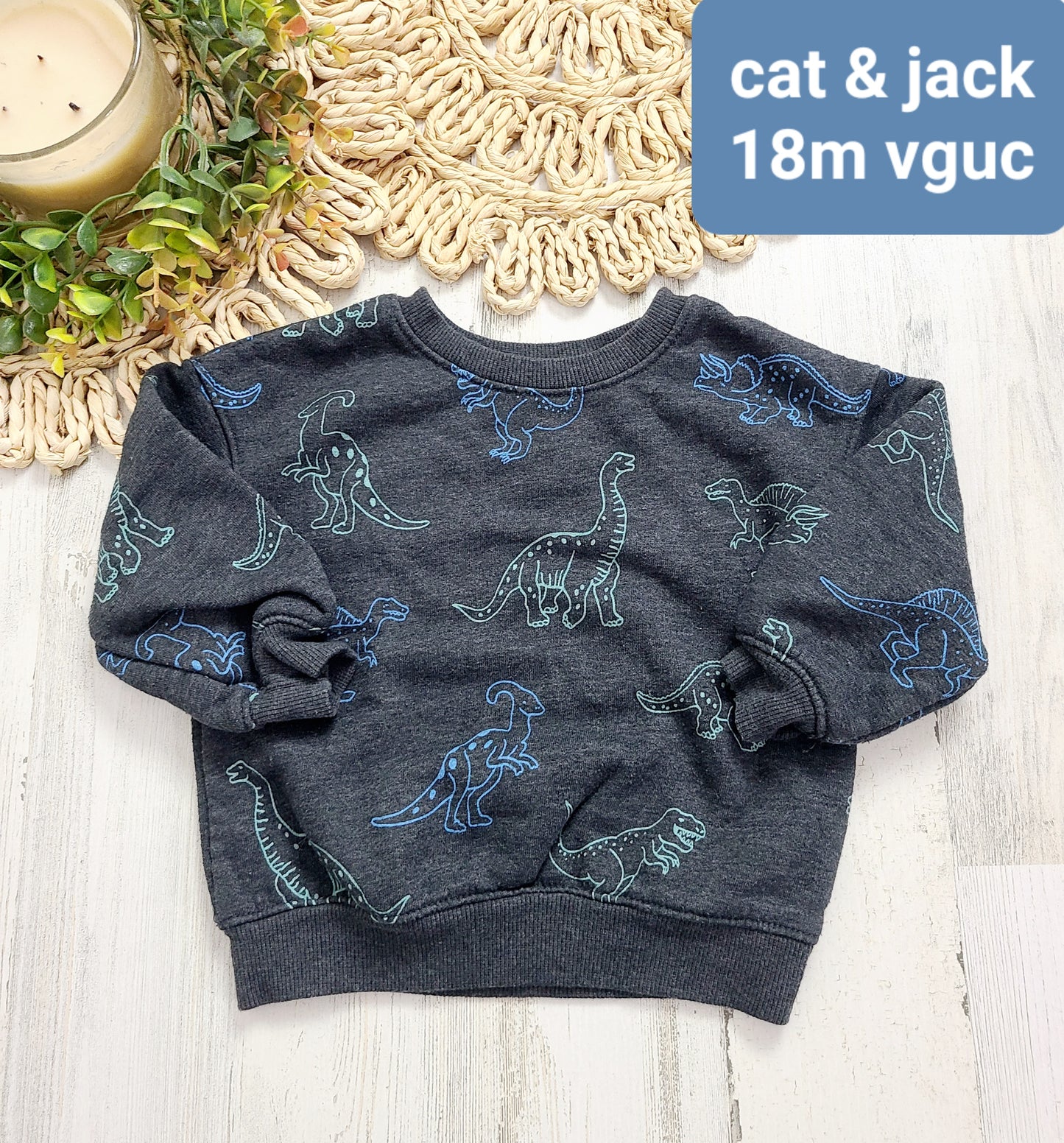 gray dino crewneck cat&jack boys