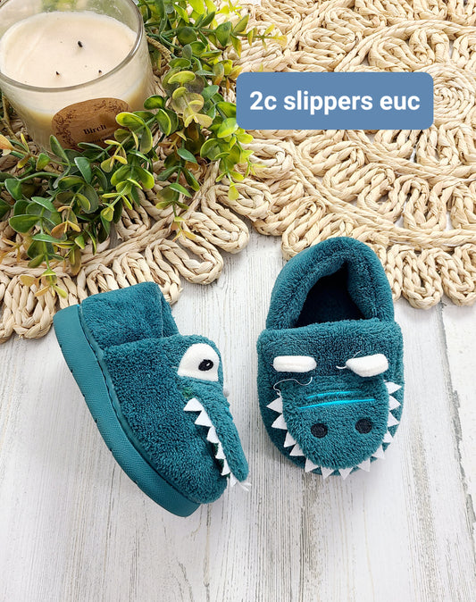 dino slippers 2c