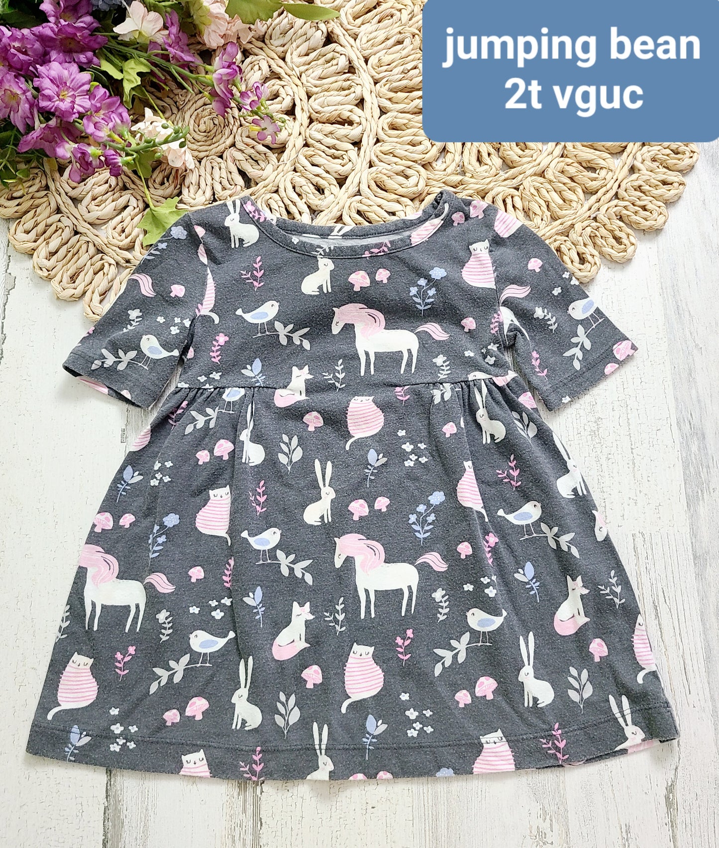 jumping bean forest animals dress