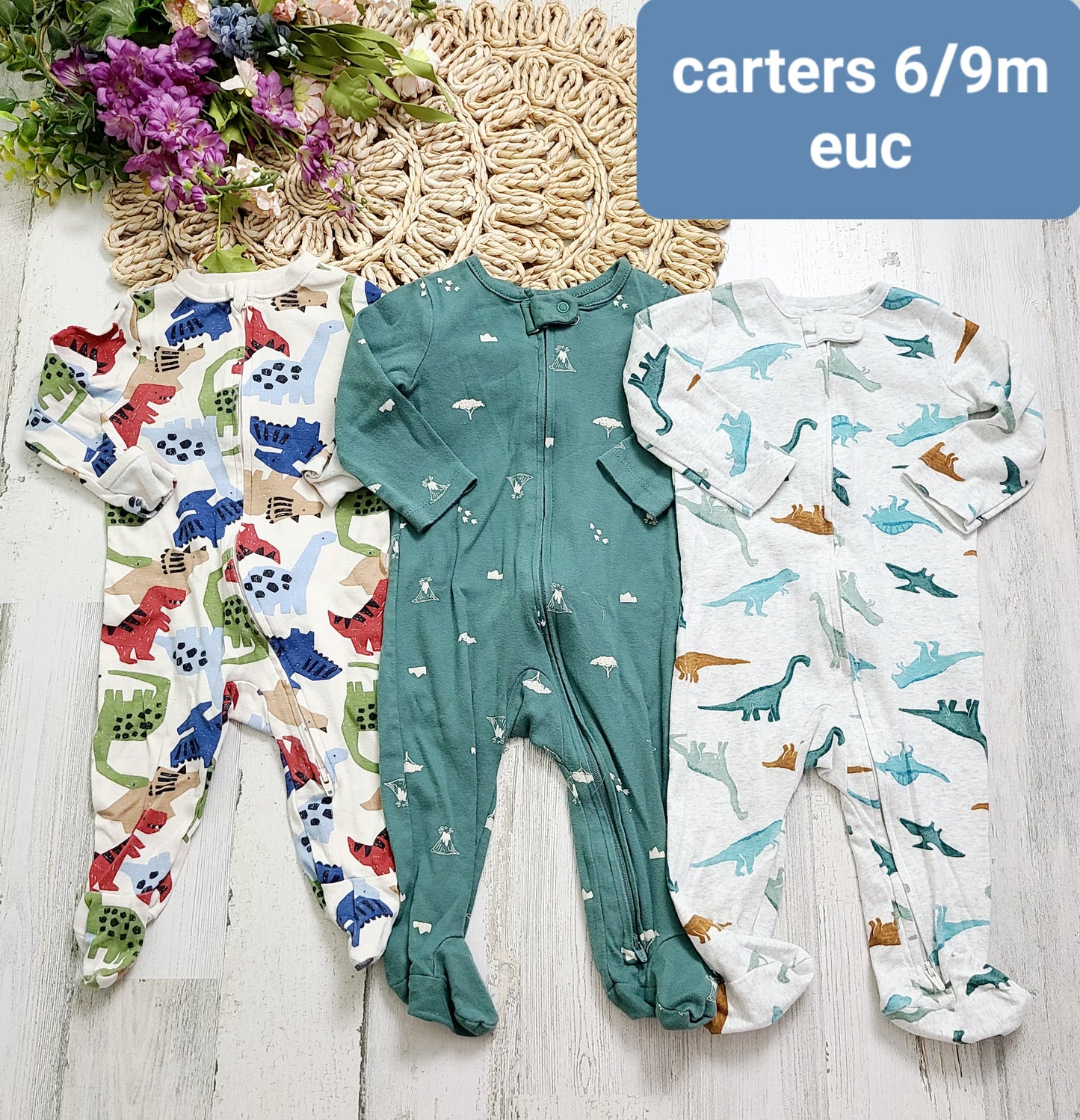 carters dinos and volcano pj