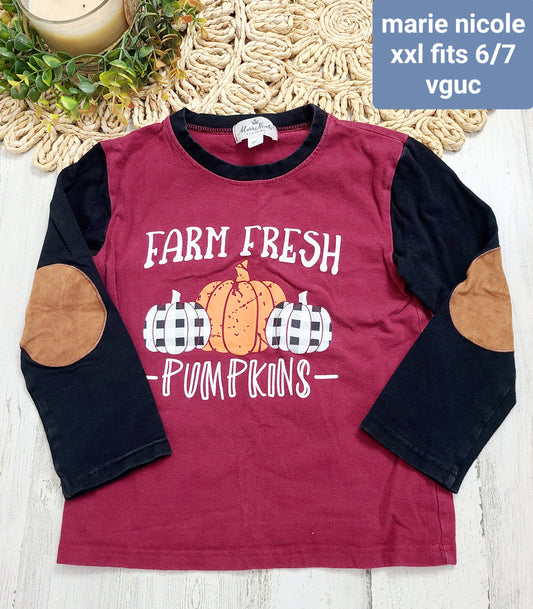 farm fresh marie nicole pumpkin