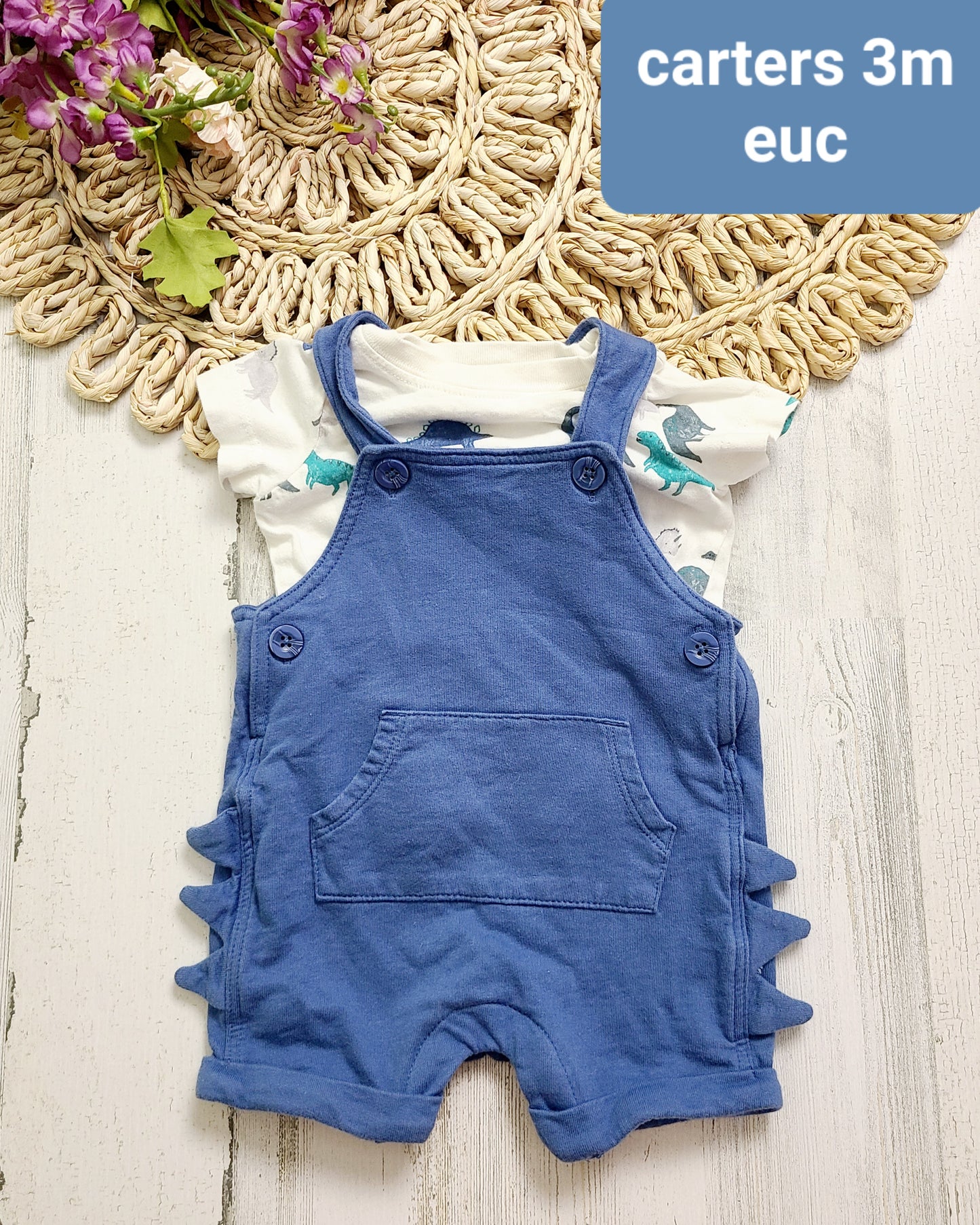 dino spikes overalls carters