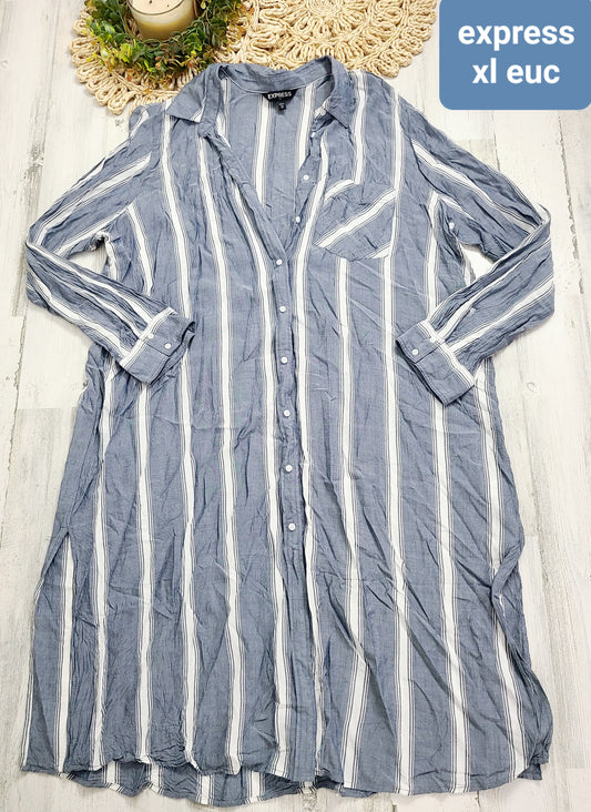 vertical stripe express dress button down