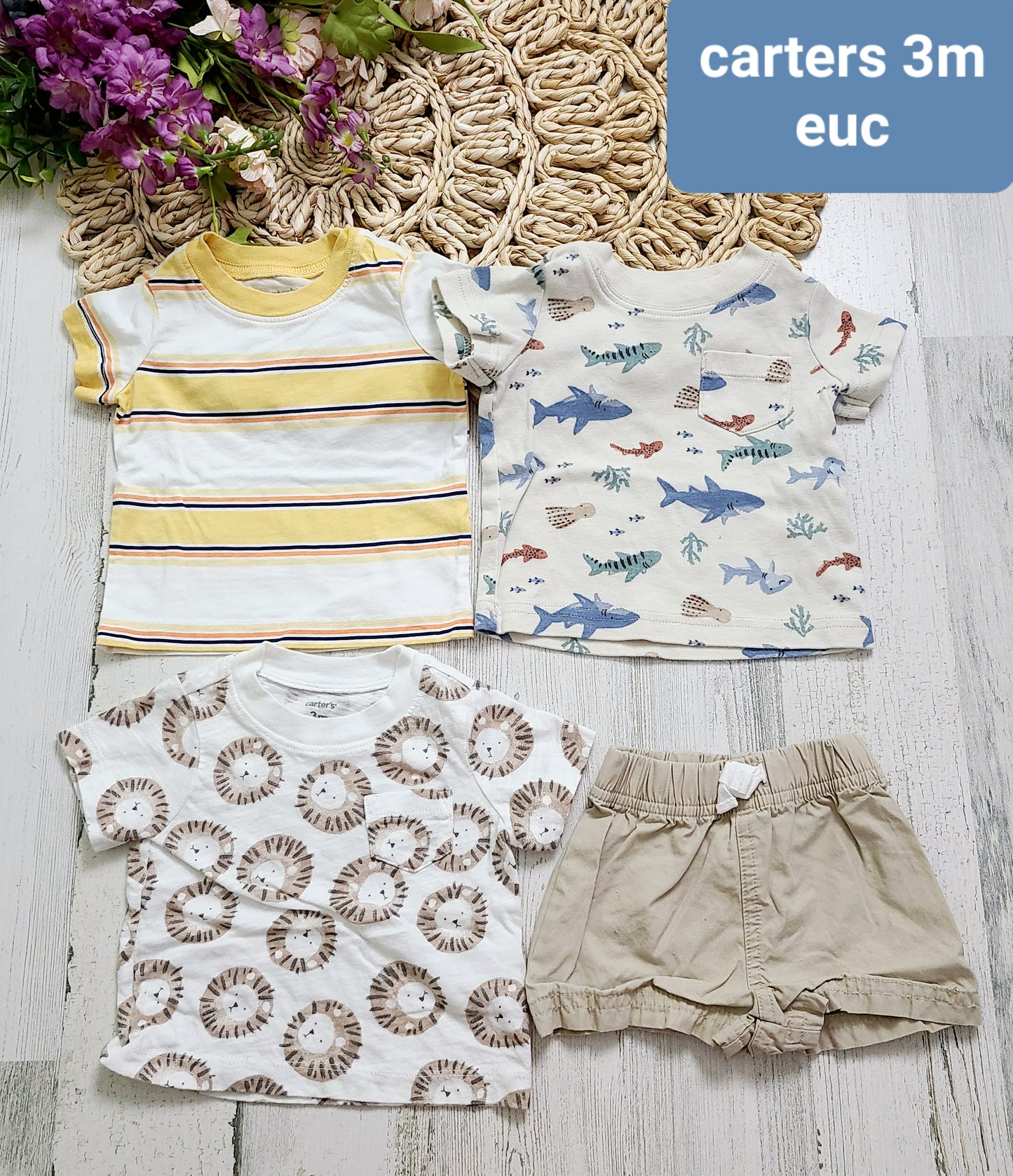 lion shark stripe khaki carters
