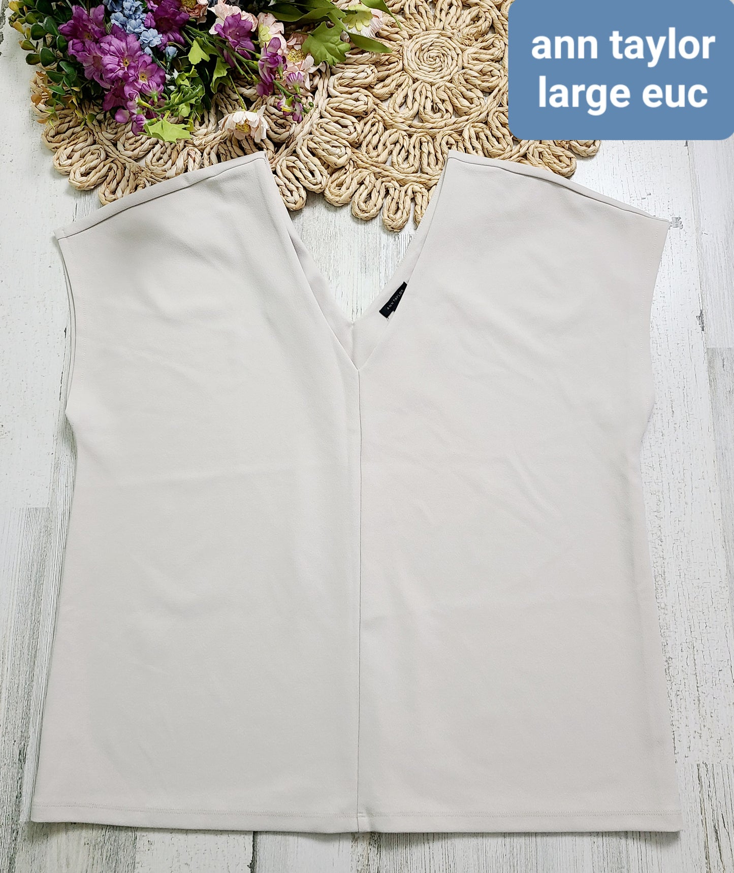 ann taylor vneck neutral dressy top