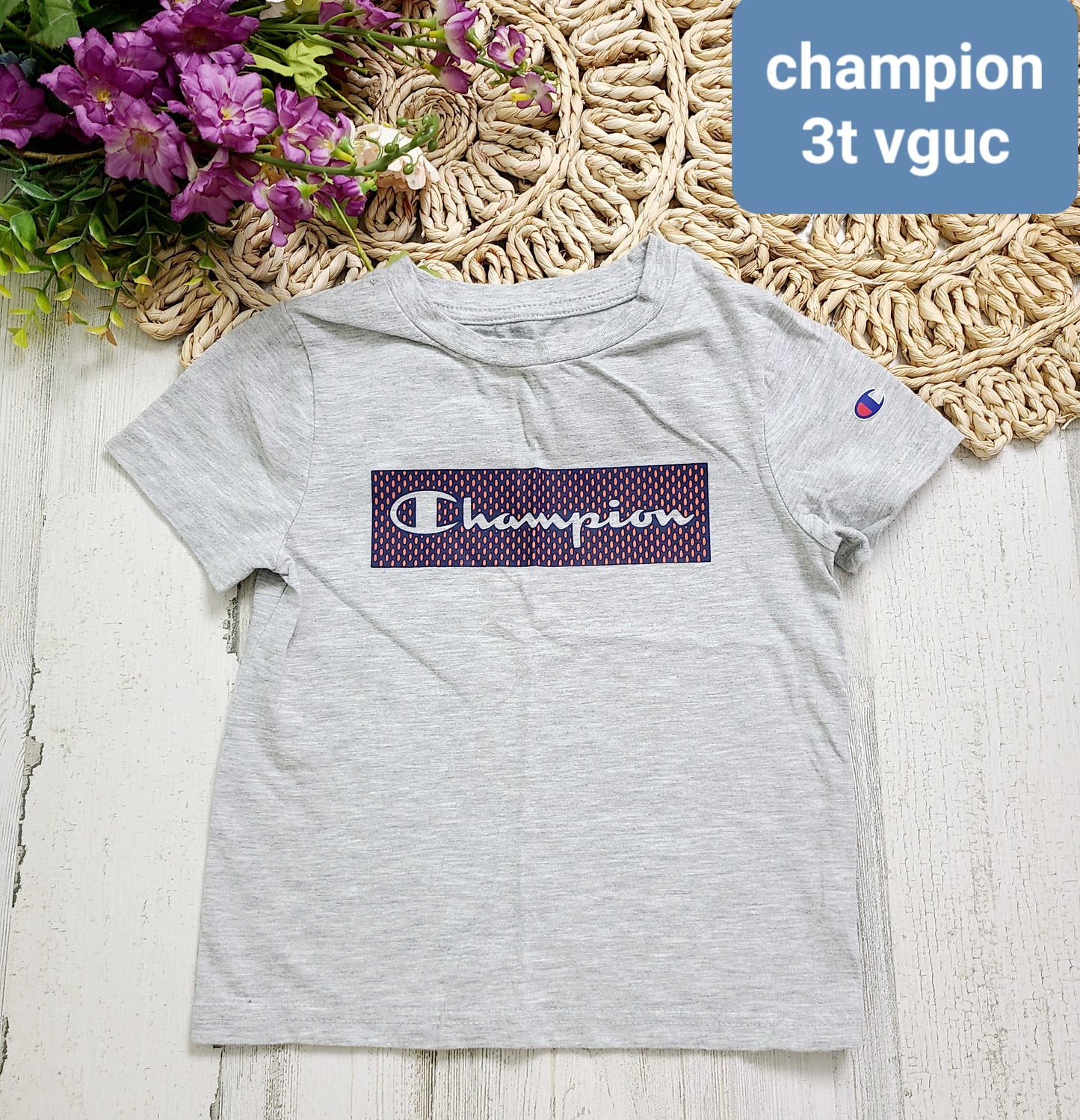3t gray champion tee