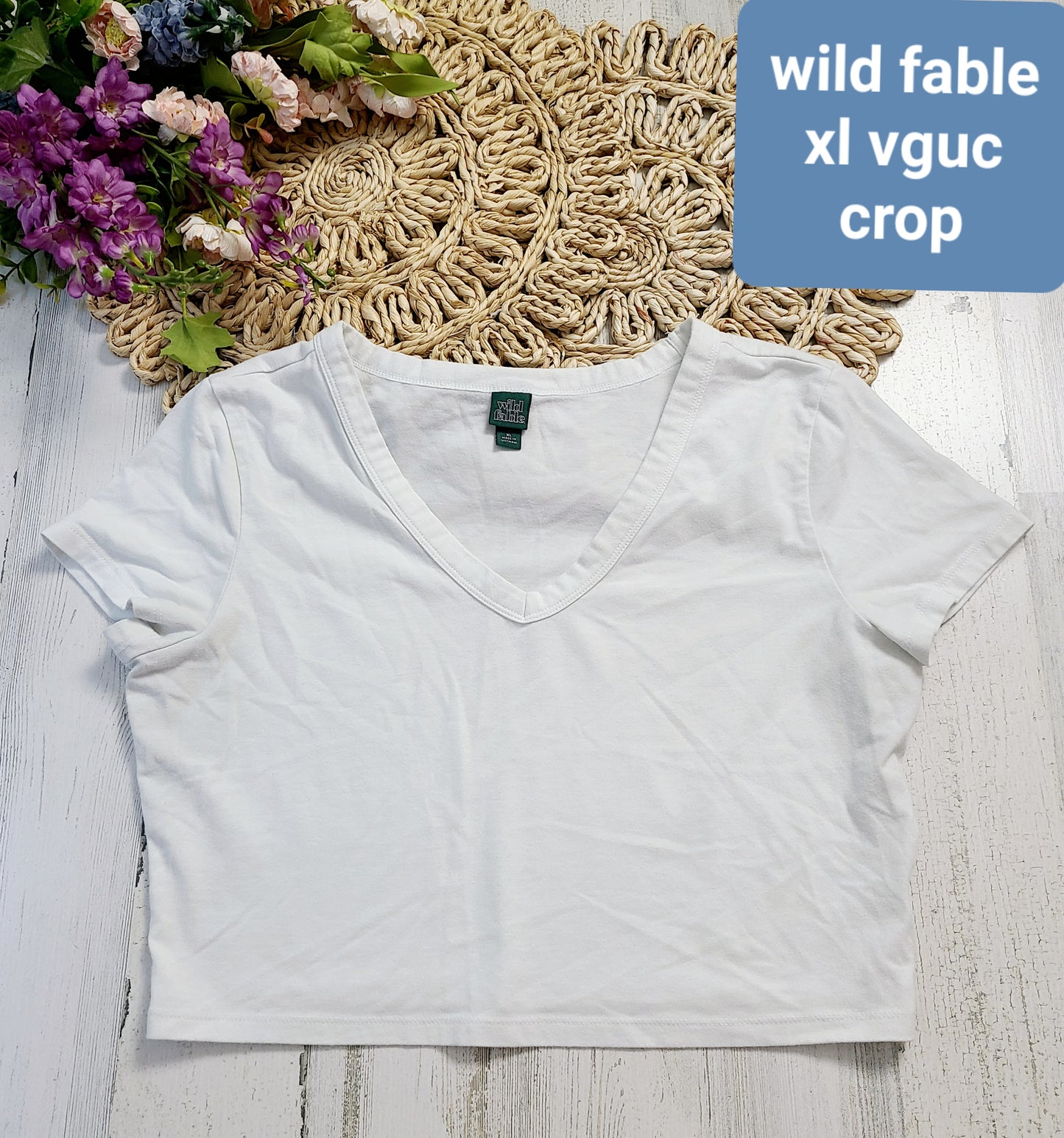 crop vneck white wild fable
