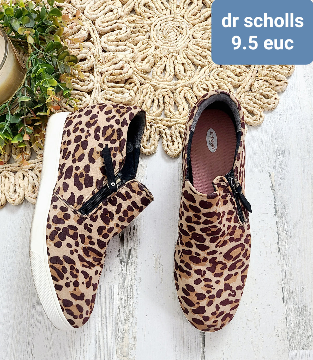 leopard dr sholls