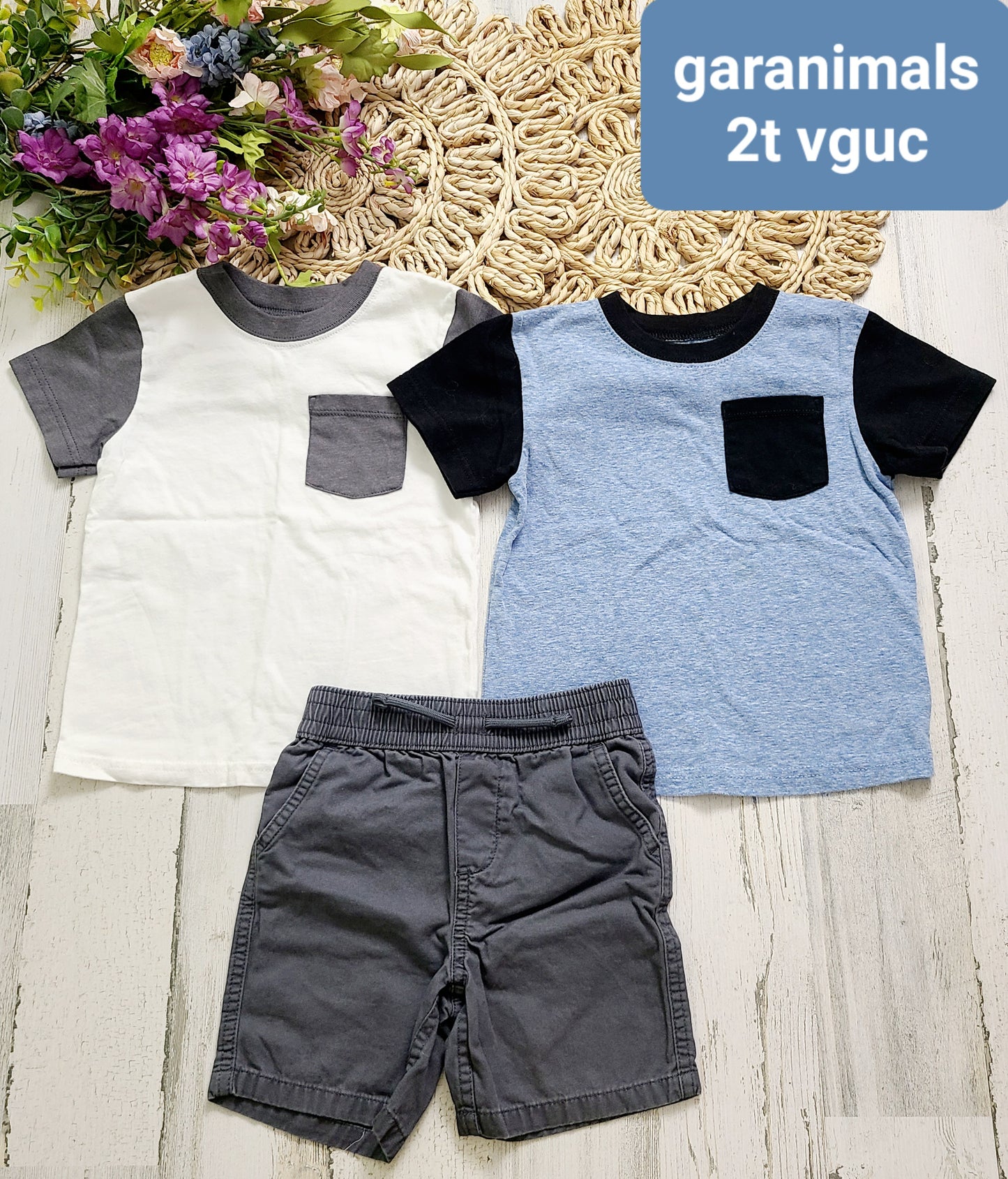 garanimals boys tees and shorts