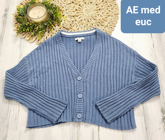 blue ae ribbed cardigan waist length