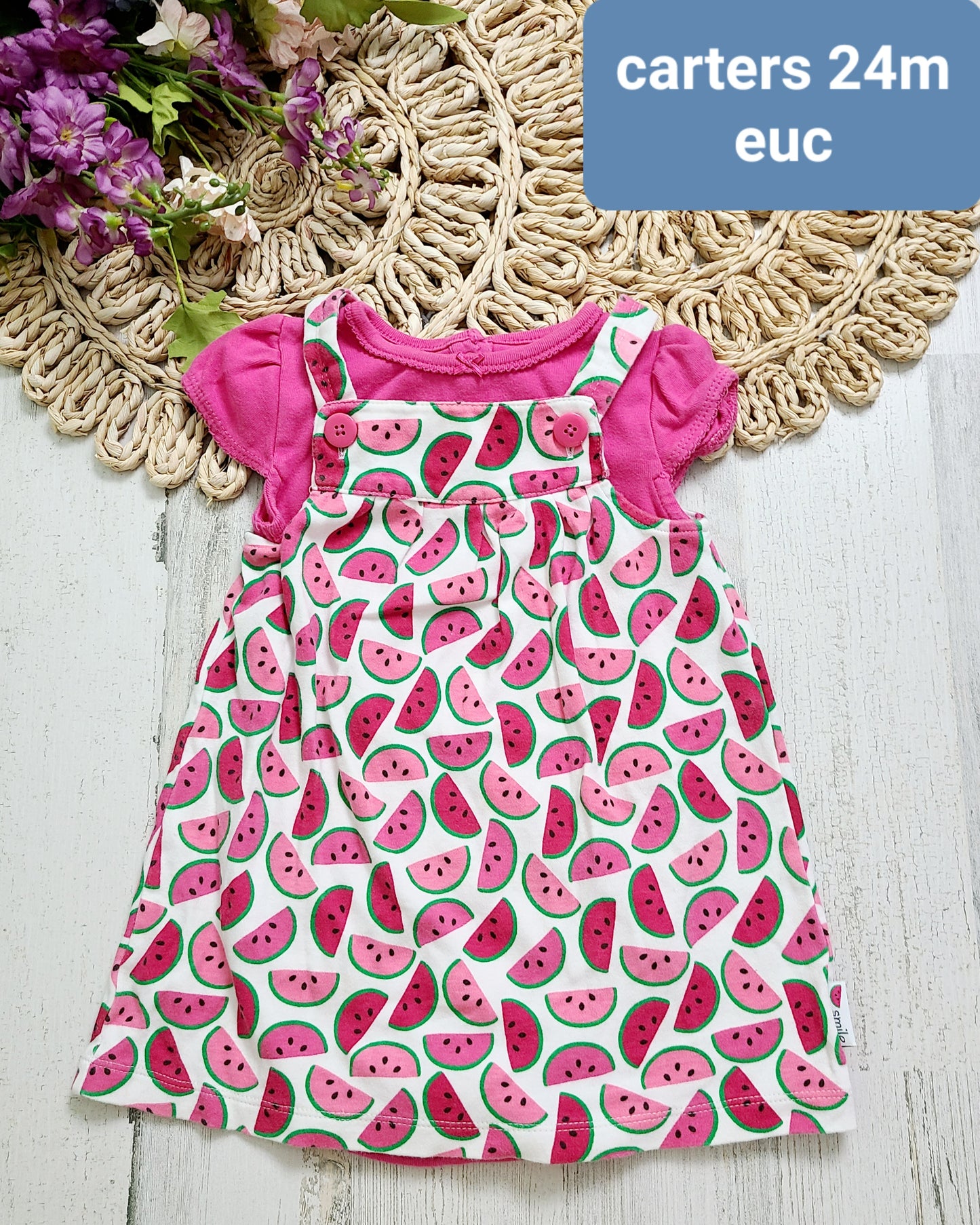 carters watermelon overall dress