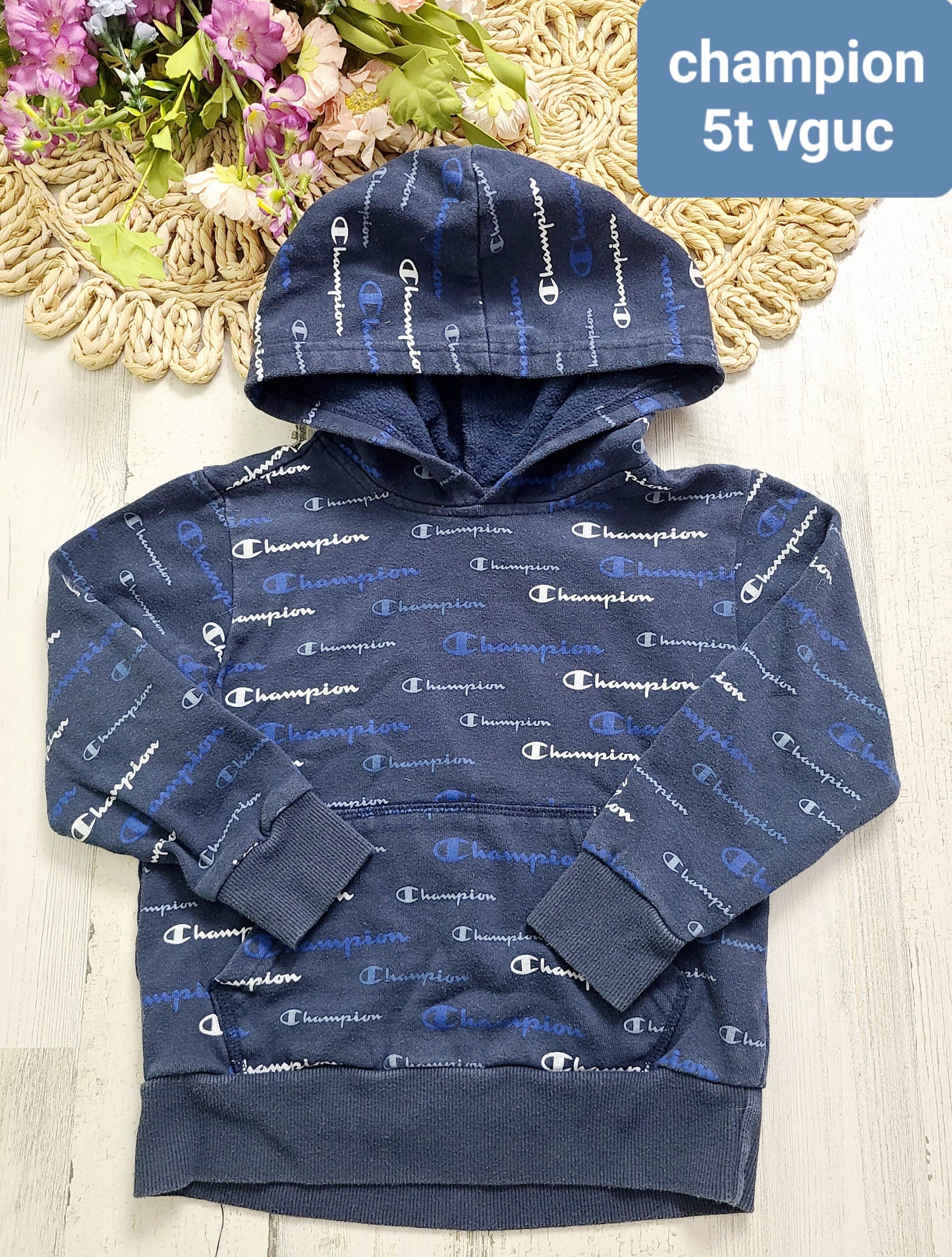 champion logo hoodie boys